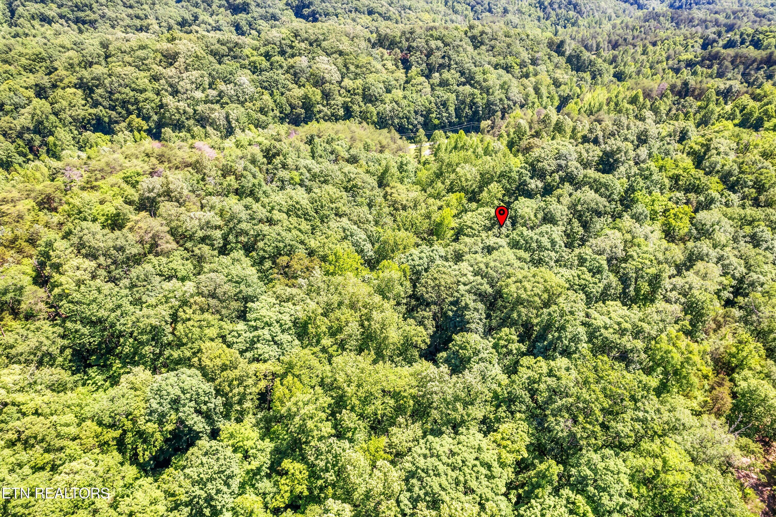 Amis Way Sevierville, TN 37876 - Photo 27 of 31 41-Amis Way Lot 5-41