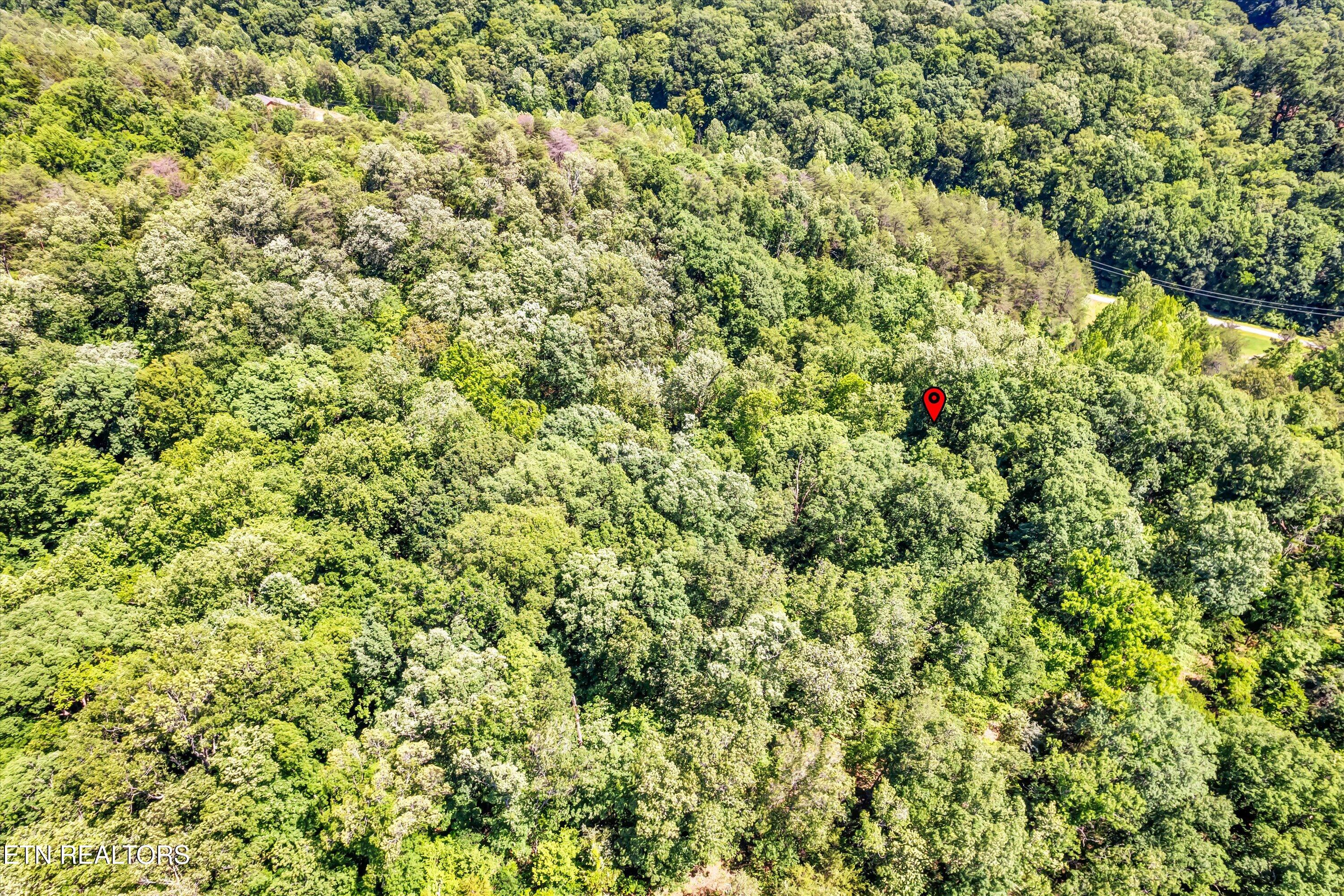 Amis Way Sevierville, TN 37876 - Photo 28 of 31 43-Amis Way Lot 5-43