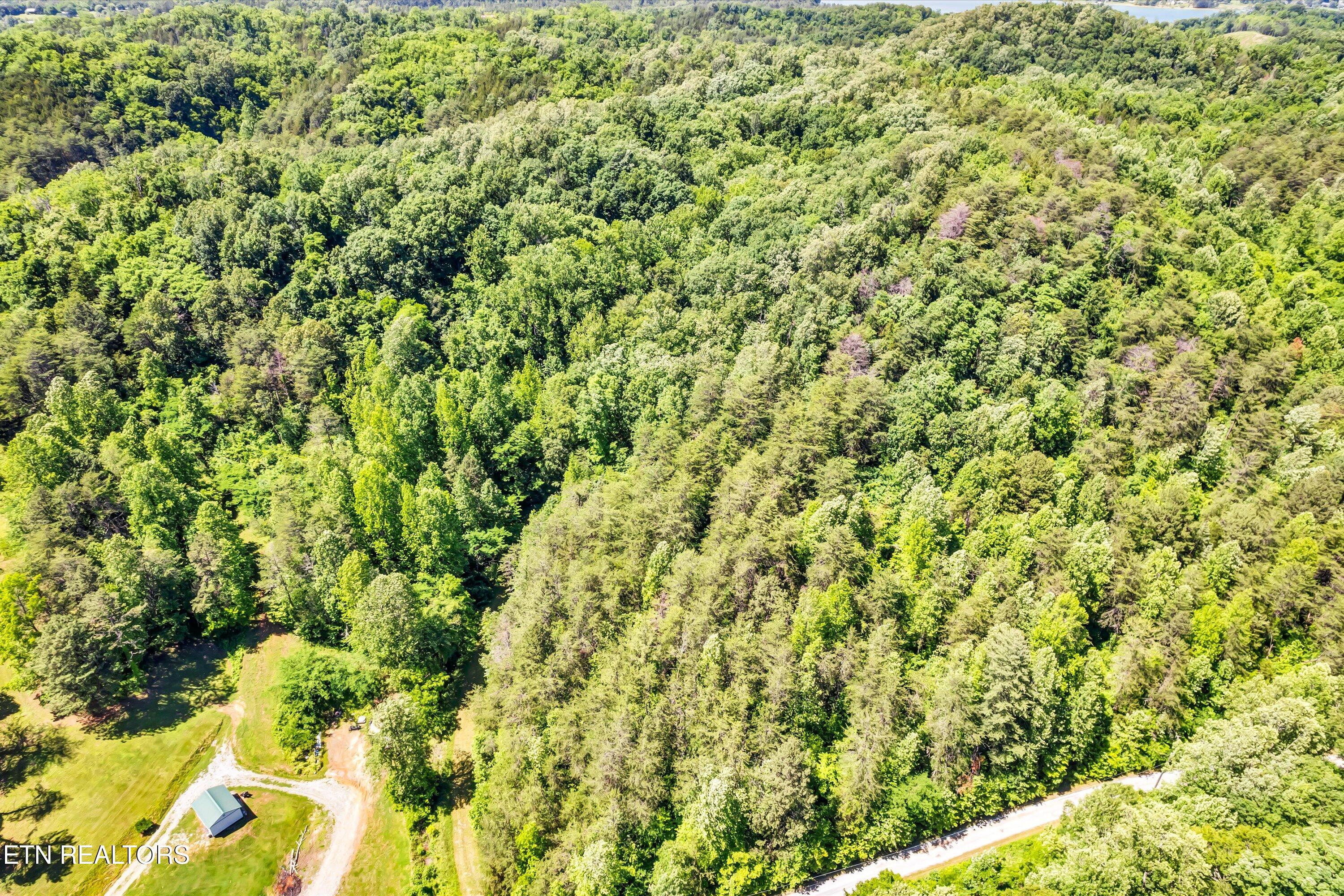 Amis Way Sevierville, TN 37876 - Photo 30 of 31 48-Amis Way Lot 5-48