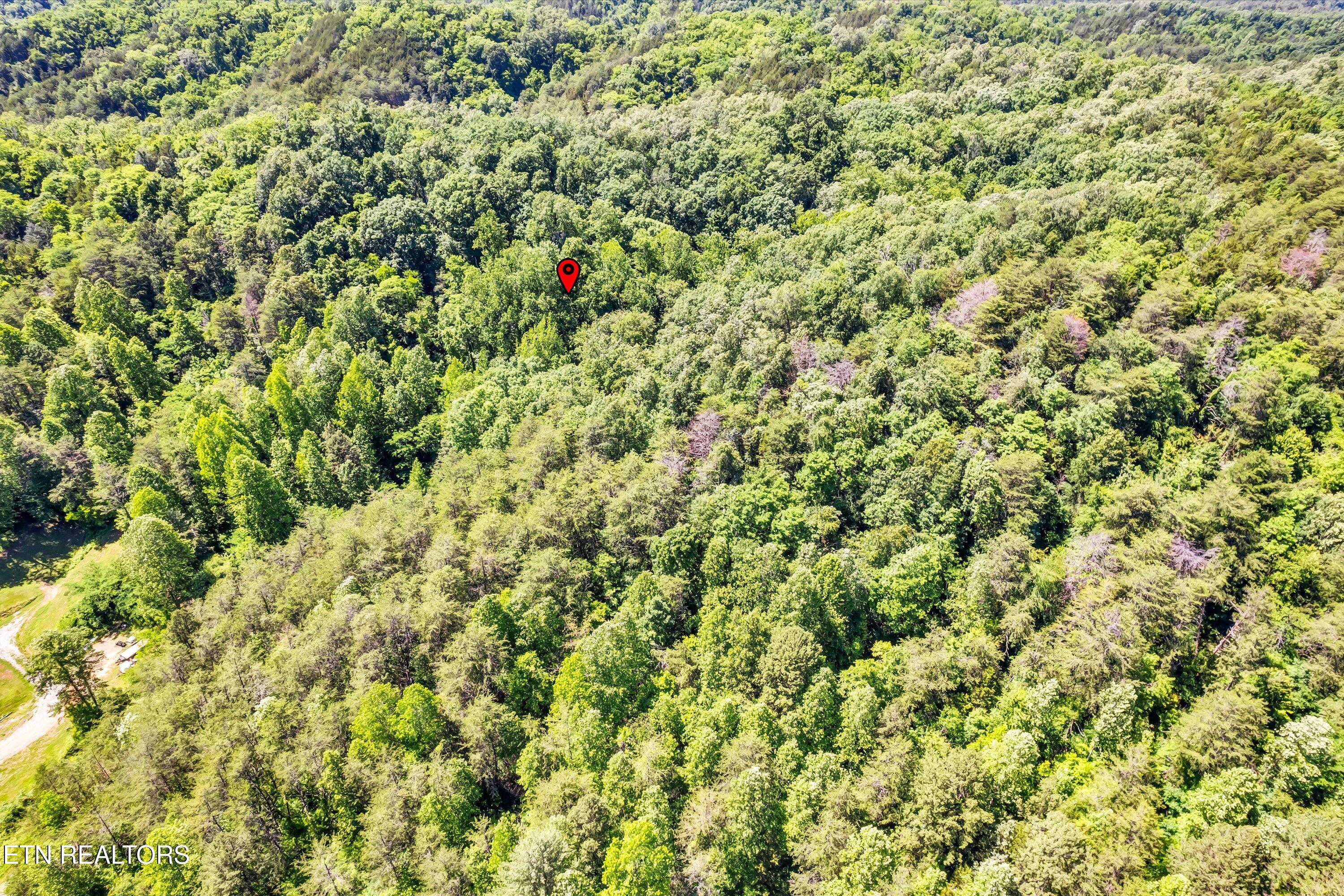 Amis Way Sevierville, TN 37876 - Photo 31 of 31 49-Amis Way Lot 5-49