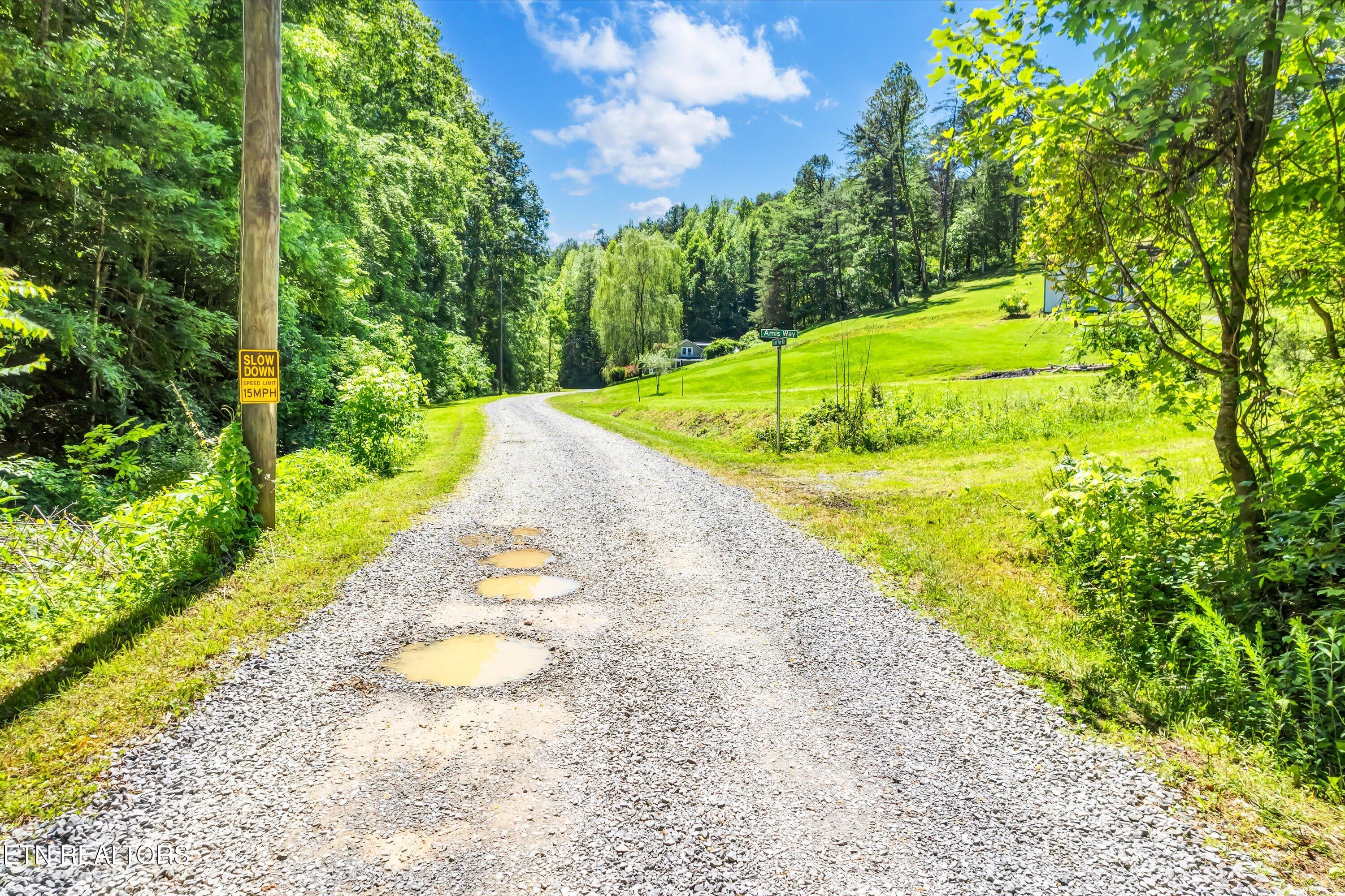 Amis Way Sevierville, TN 37876 - Photo 4 of 31 03-Amis Way Lot 5-3