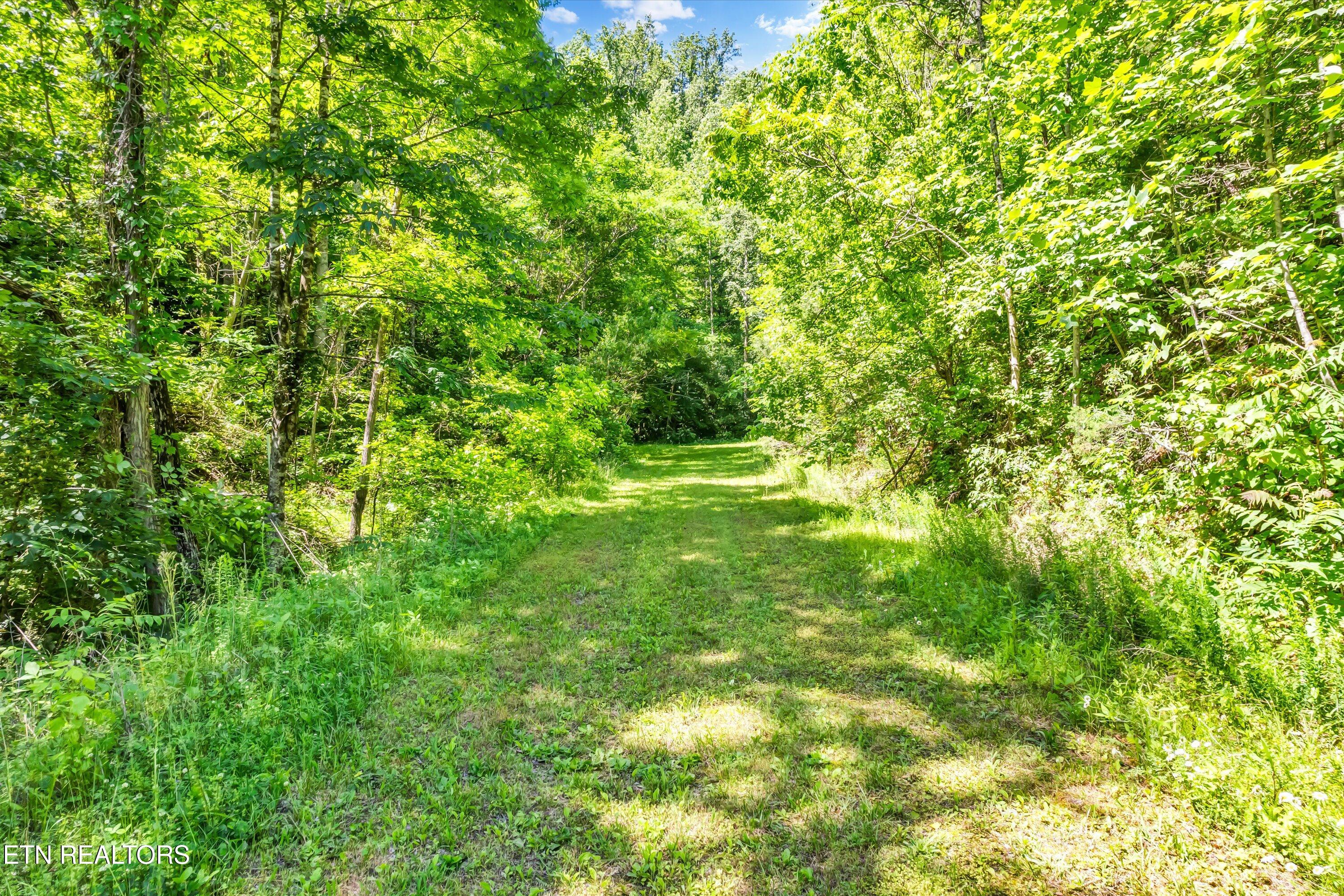 Amis Way Sevierville, TN 37876 - Photo 5 of 31 05-Amis Way Lot 5-5