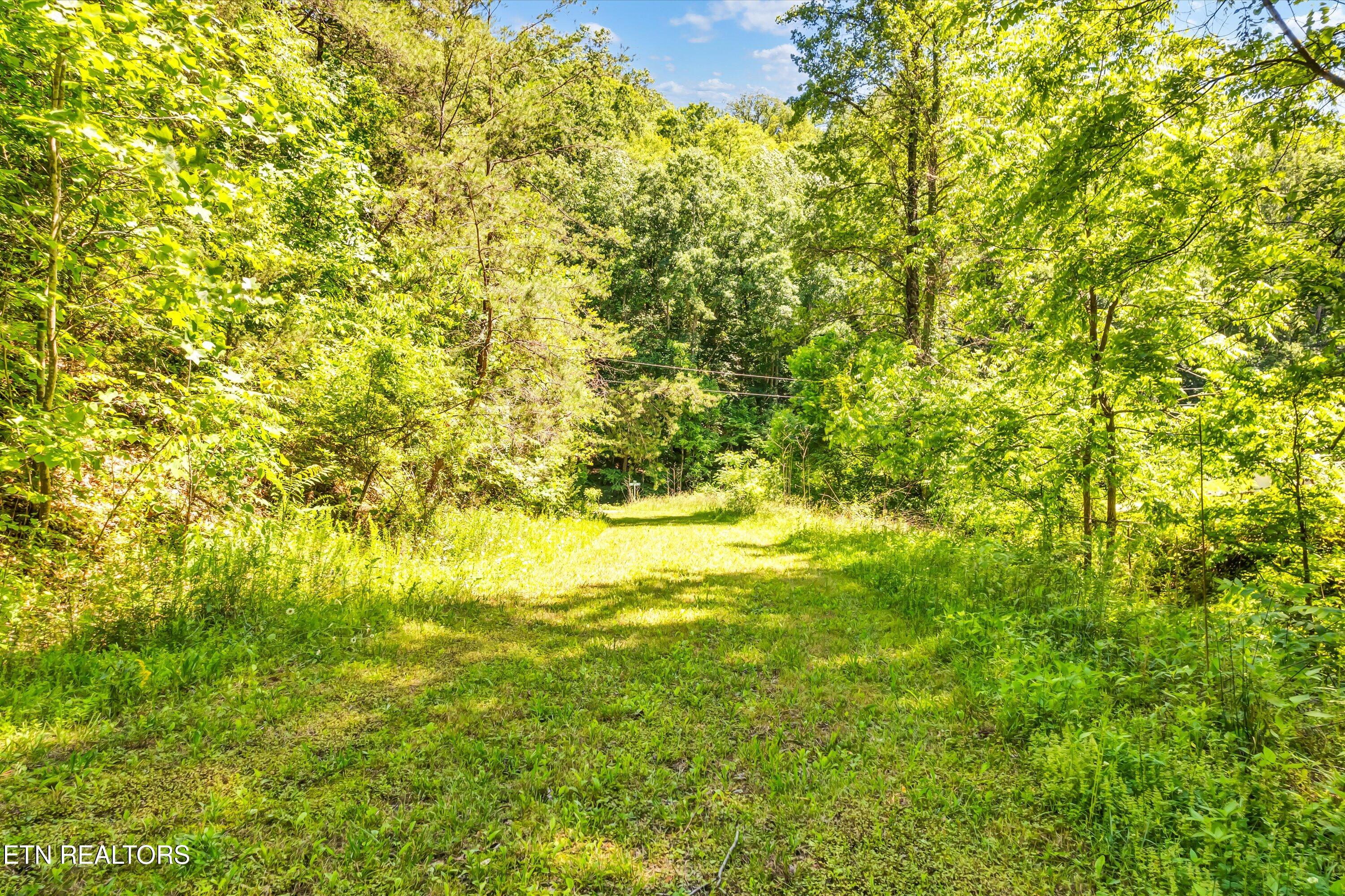 Amis Way Sevierville, TN 37876 - Photo 6 of 31 06-Amis Way Lot 5-6