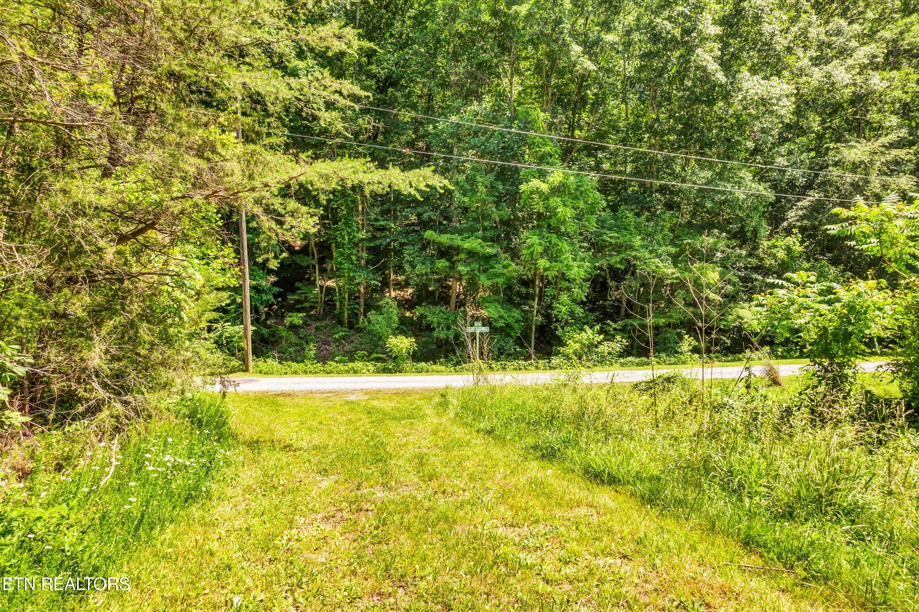 Amis Way Sevierville, TN 37876 - Photo 7 of 31 07-Amis Way Lot 5-7