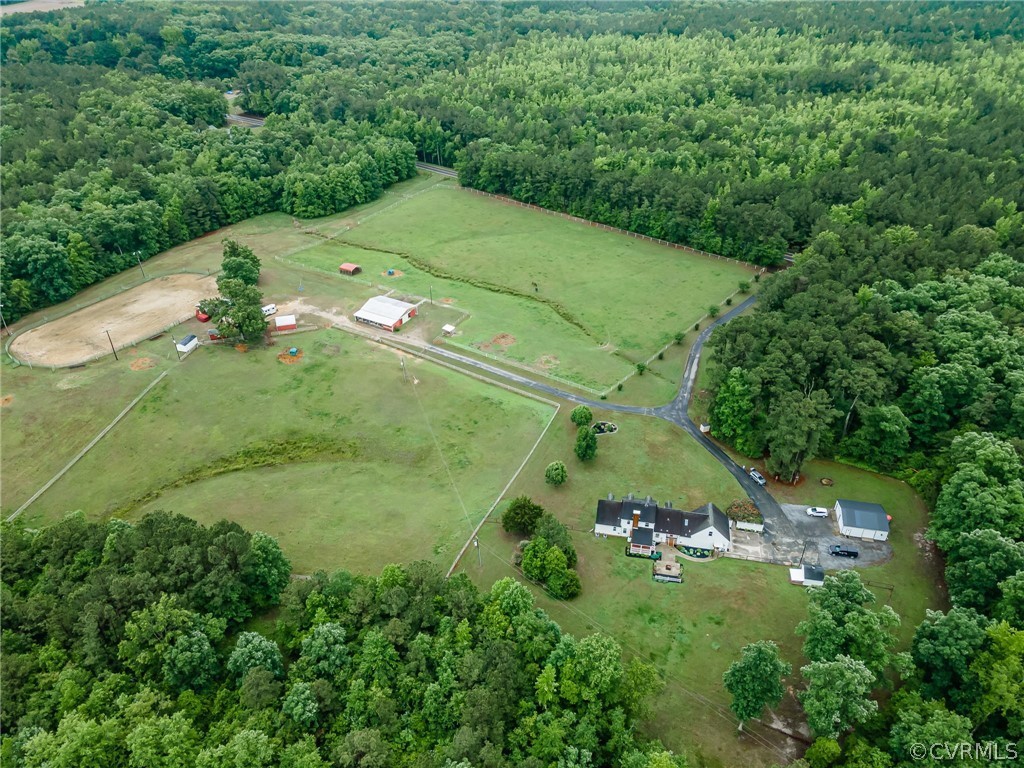 22508 Carson Road Dinwiddie, VA 23841 - Photo 45 of 50 a view of a green yard