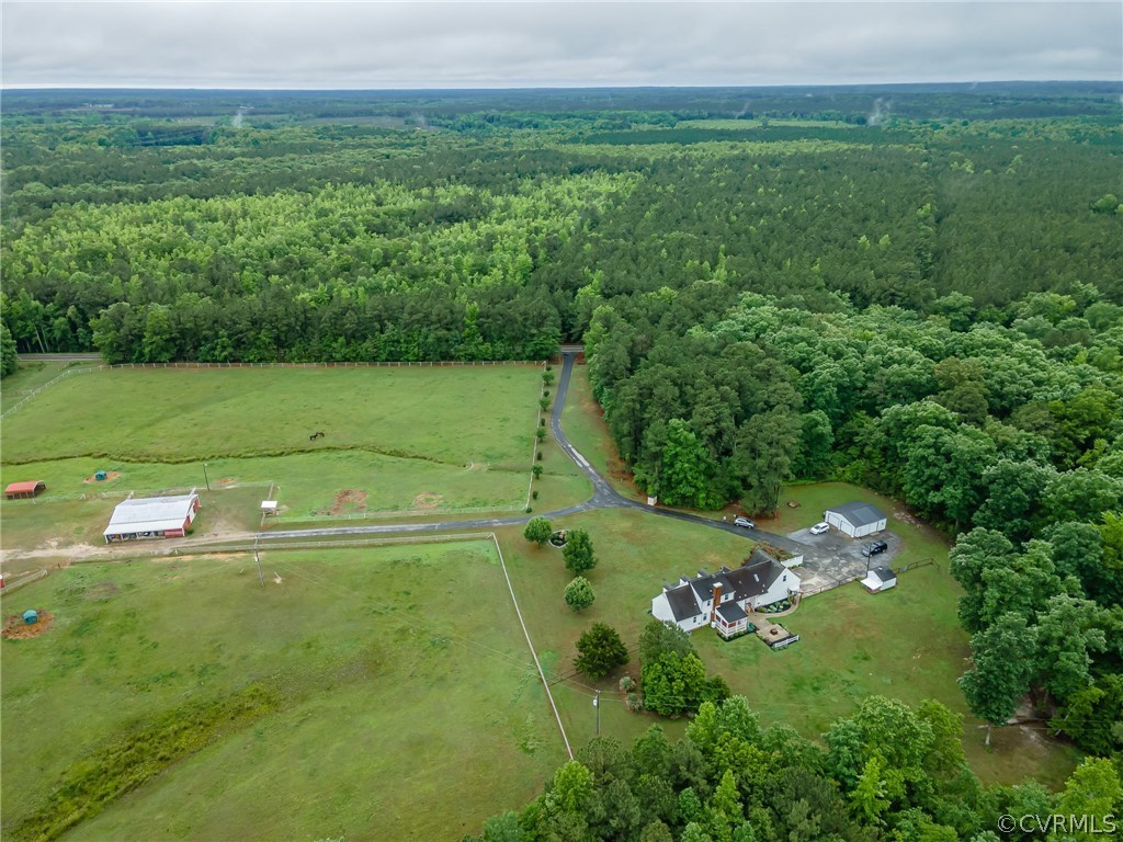 22508 Carson Road Dinwiddie, VA 23841 - Photo 47 of 50 a view of a green yard with large trees