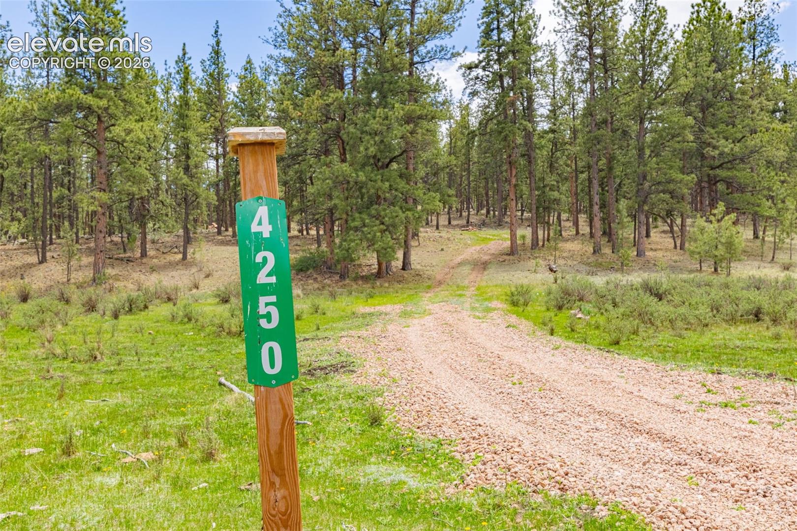 4250 Doe Valley Road Guffey, CO 80820 - Photo 2 of 35