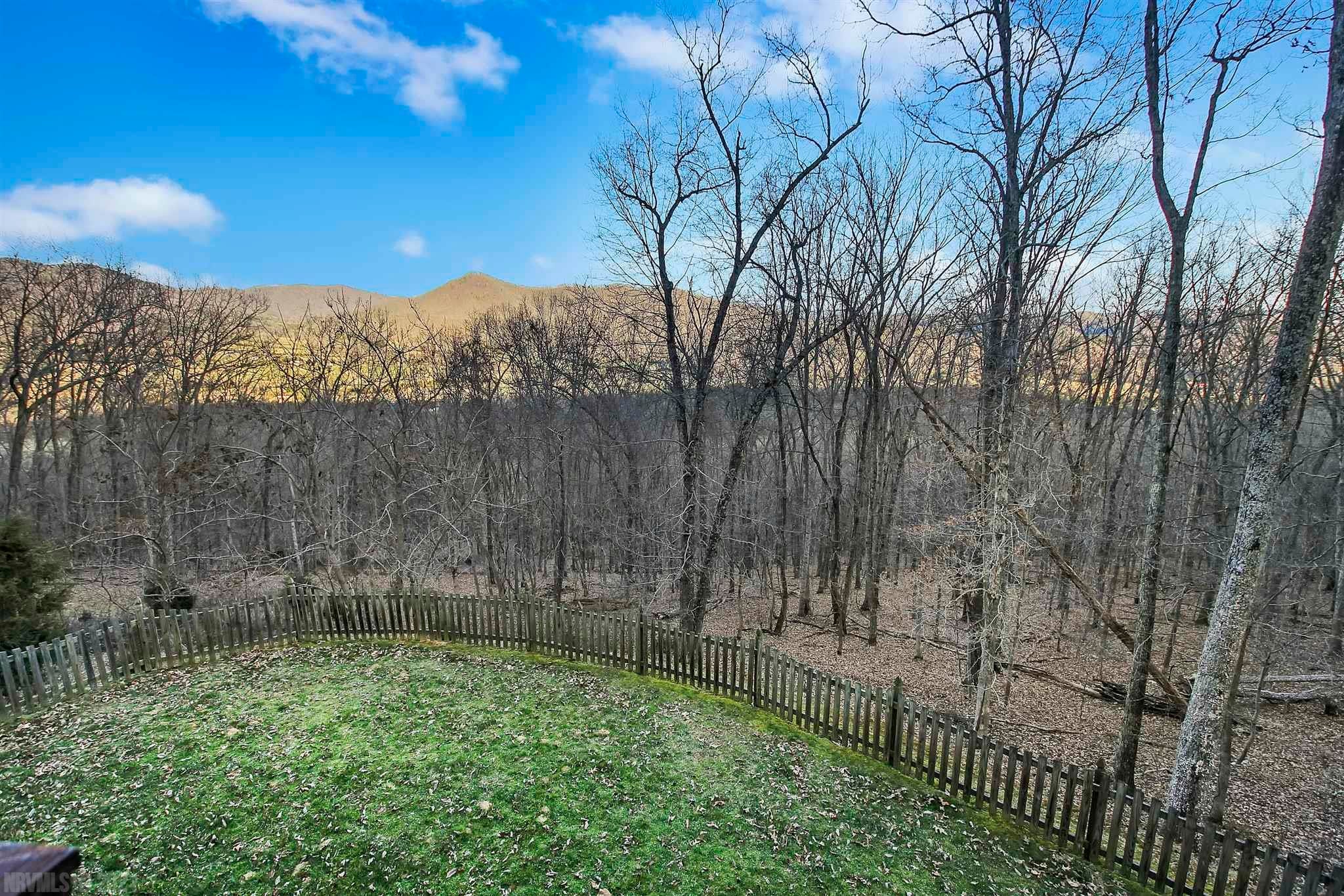 1370 Falcon Ridge Road Blacksburg, VA 24060 - Photo 76 of 83 Gallery Image 76