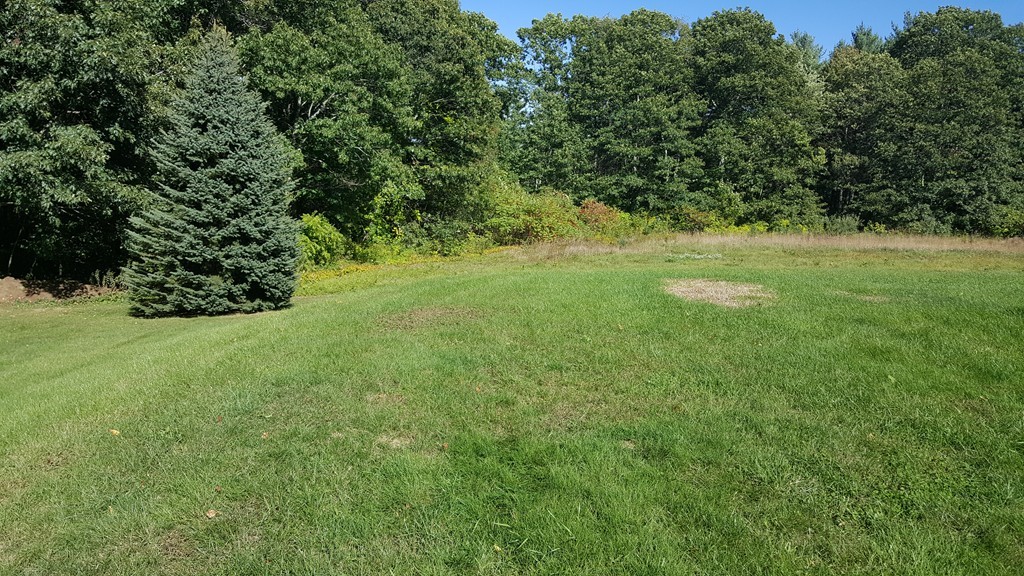 3 Marble Road Spencer, MA 01562 - Photo 10 of 21 Gallery Image 10