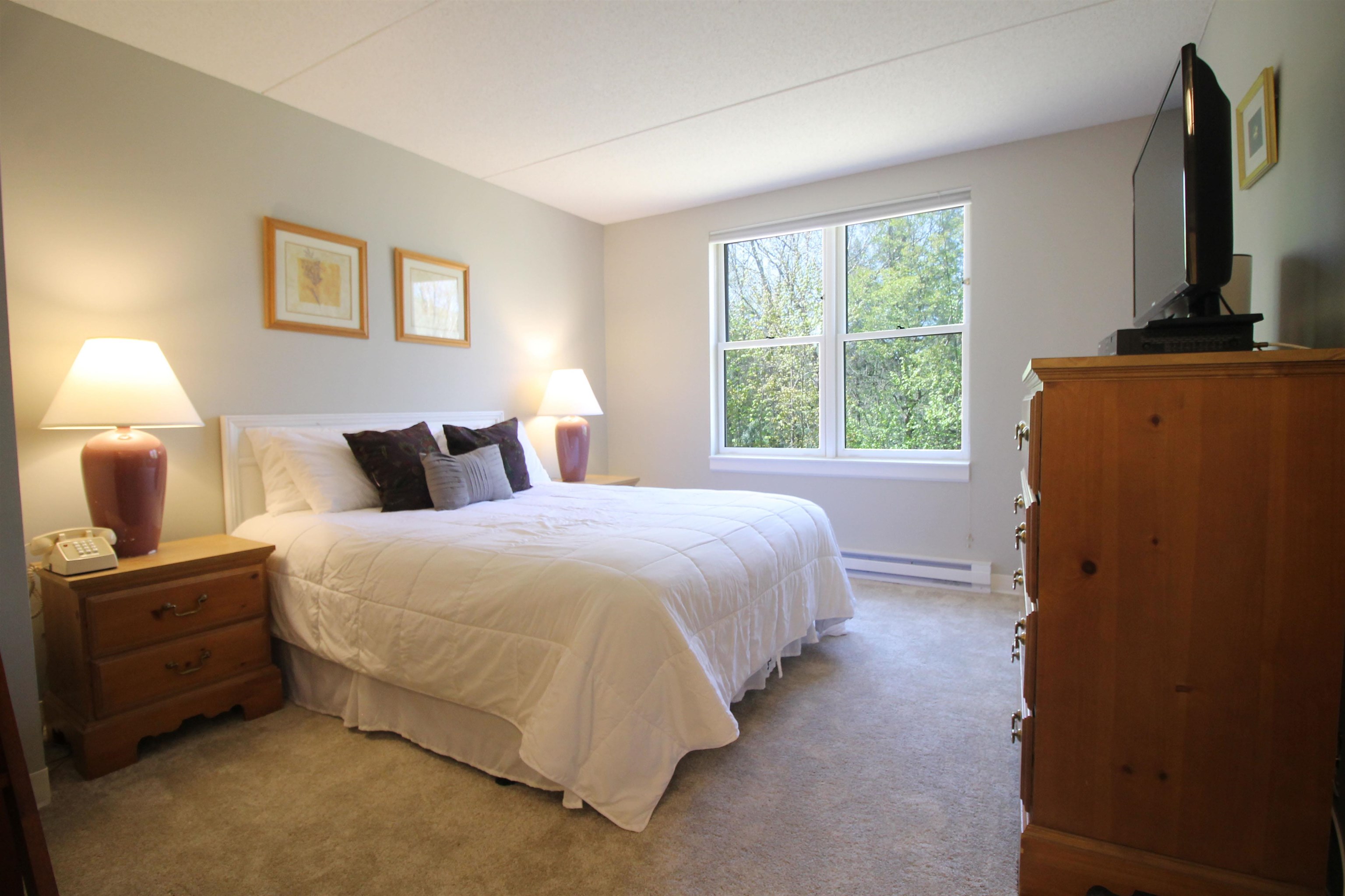 28 Packard's Road, Unit 328 Waterville Valley, NH 03215 - Photo 8 of 26