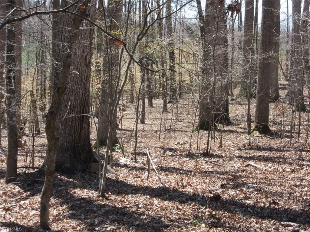 151 Godbey Road Mocksville, NC 27028 - Photo 17 of 28 Gallery Image 17