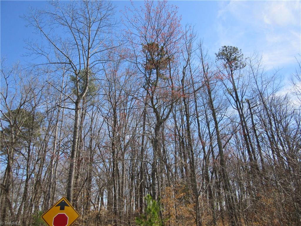 151 Godbey Road Mocksville, NC 27028 - Photo 3 of 28 Gallery Image 3