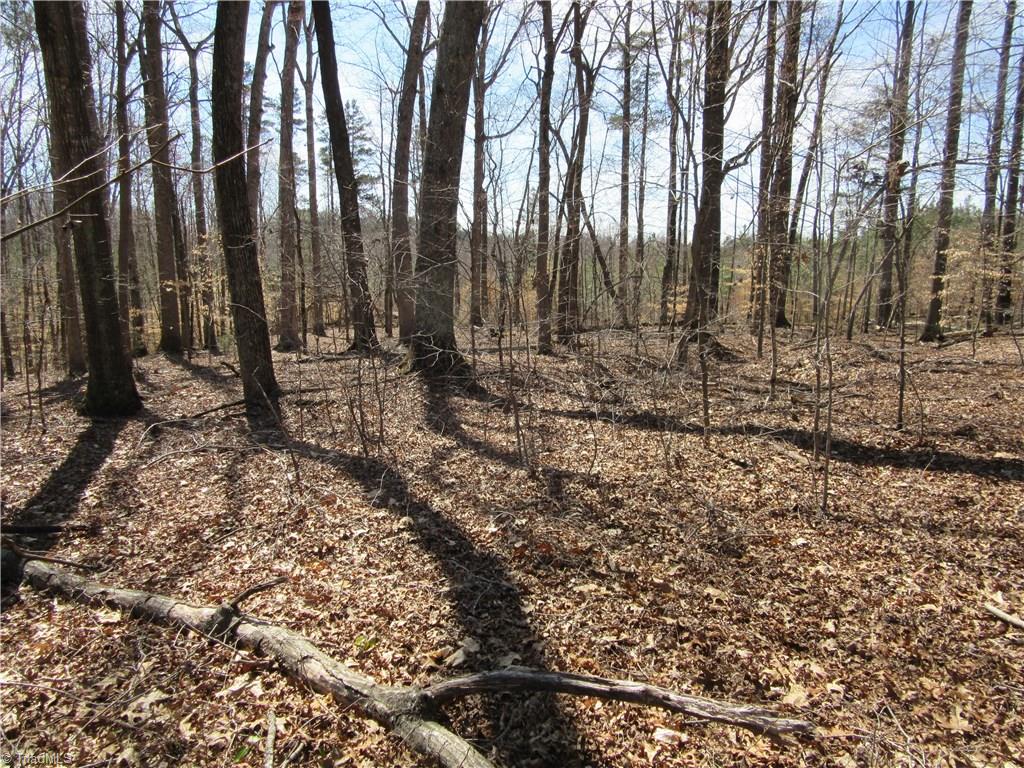 151 Godbey Road Mocksville, NC 27028 - Photo 21 of 28 Gallery Image 21
