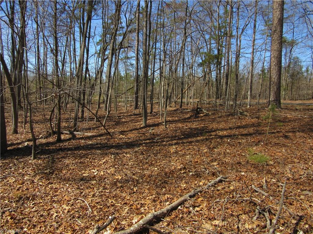 151 Godbey Road Mocksville, NC 27028 - Photo 22 of 28 Gallery Image 22