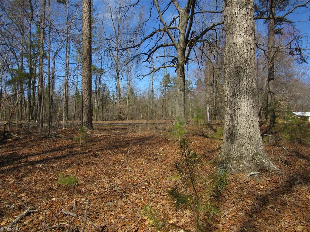 151 Godbey Road Mocksville, NC 27028 - Photo 23 of 28 Gallery Image 23