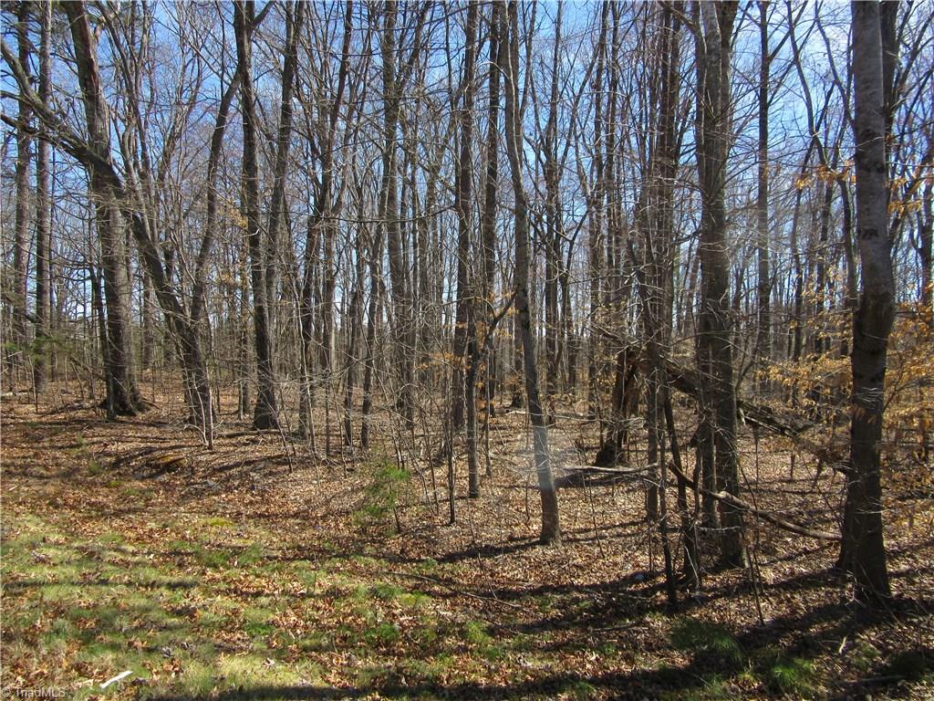 151 Godbey Road Mocksville, NC 27028 - Photo 4 of 28 Gallery Image 4