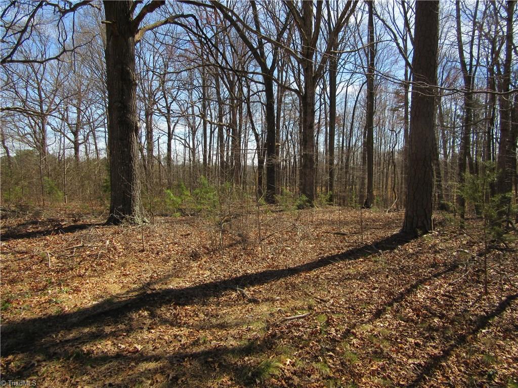 151 Godbey Road Mocksville, NC 27028 - Photo 5 of 28 Gallery Image 5