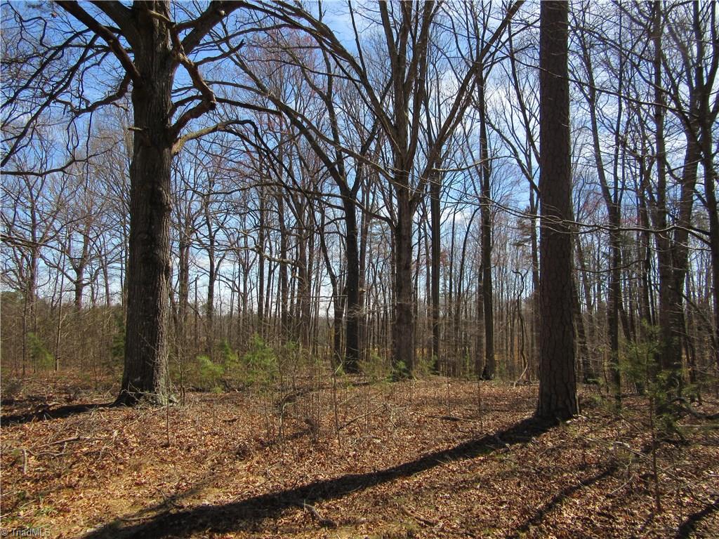 151 Godbey Road Mocksville, NC 27028 - Photo 6 of 28 Gallery Image 6