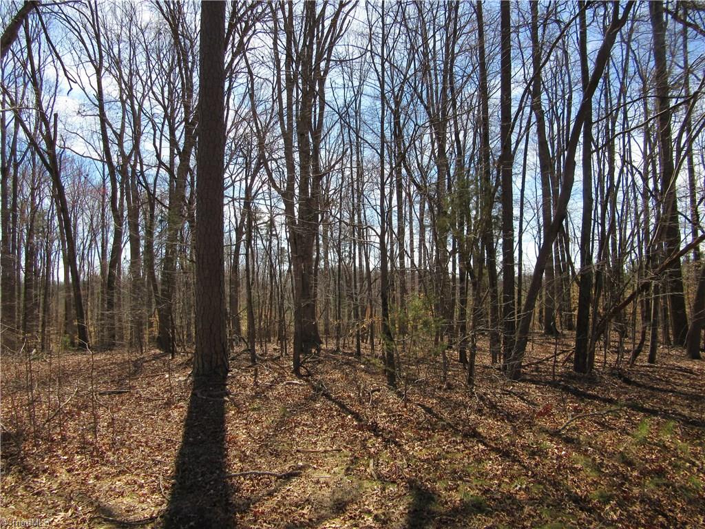 151 Godbey Road Mocksville, NC 27028 - Photo 7 of 28 Gallery Image 7