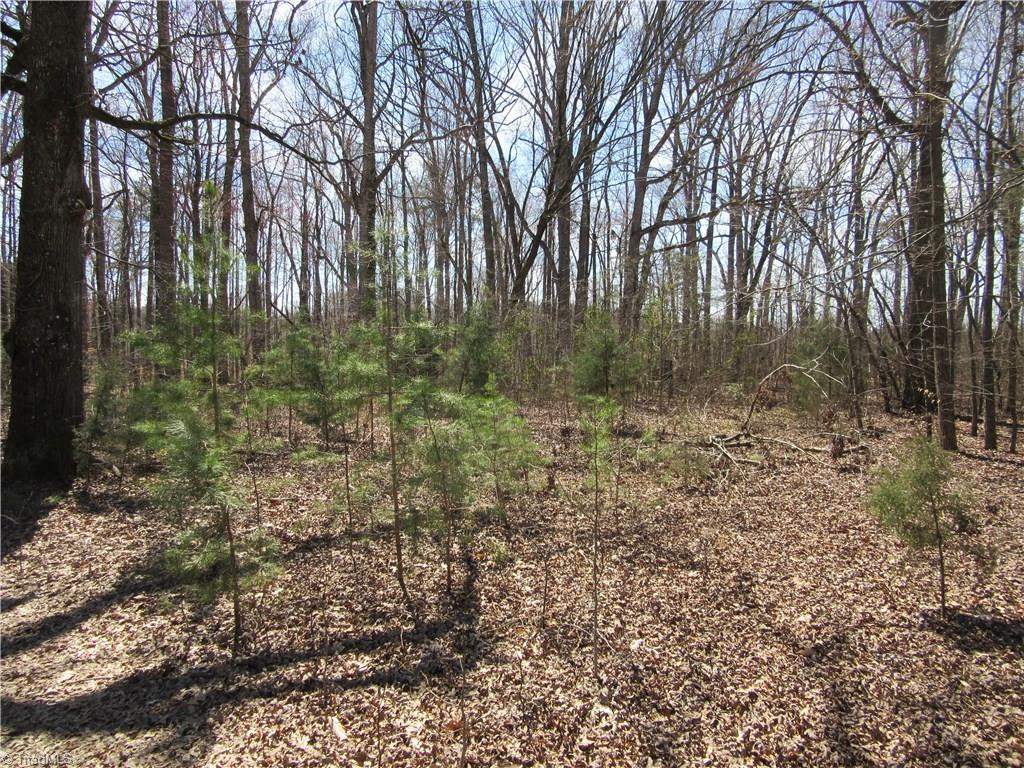 151 Godbey Road Mocksville, NC 27028 - Photo 10 of 28 Gallery Image 10