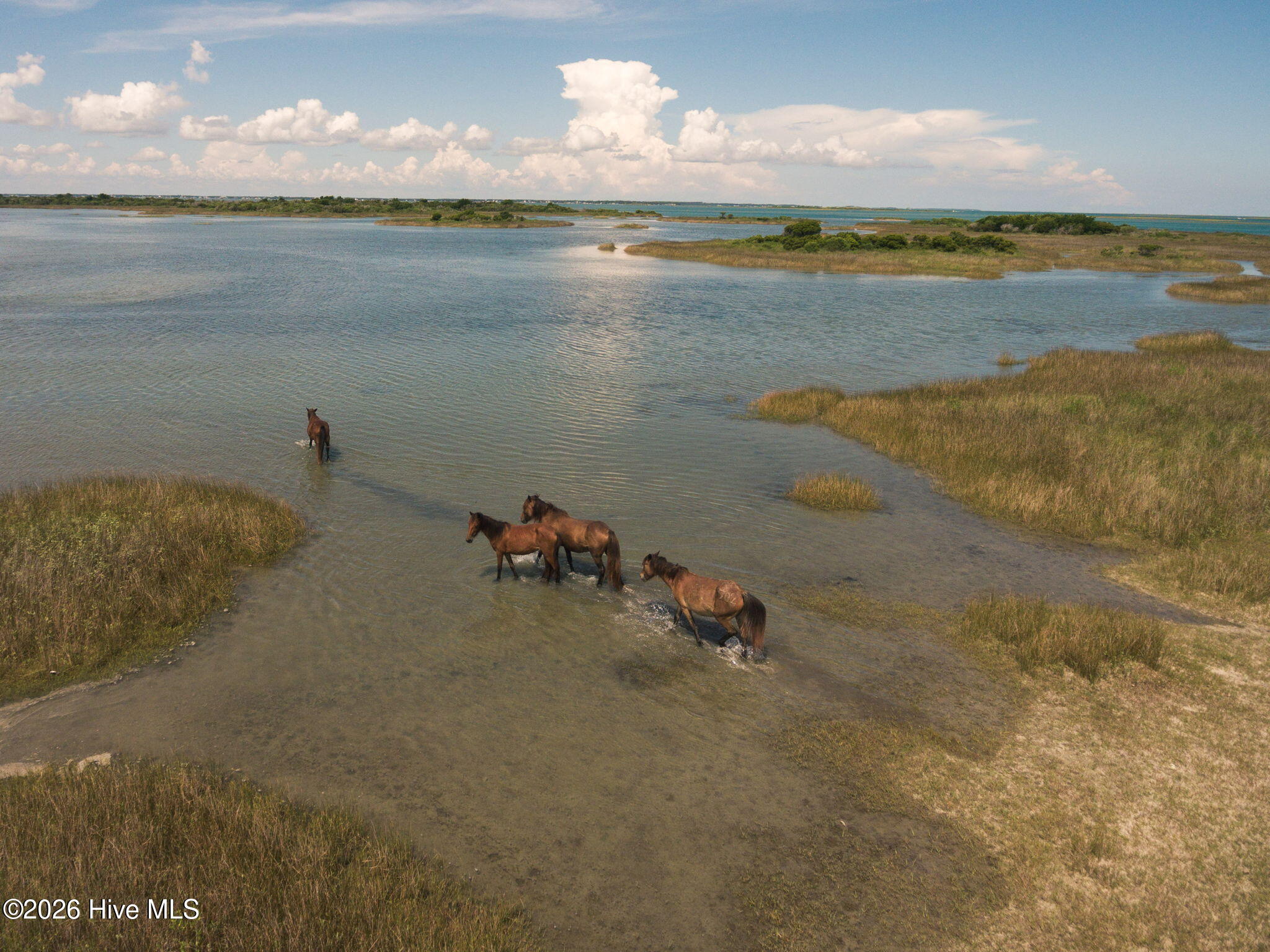 908-922 Island Road Harkers Island, NC 28531 - Photo 20 of 23 31-web-or-mls-Cape Lookout & Harkers 6