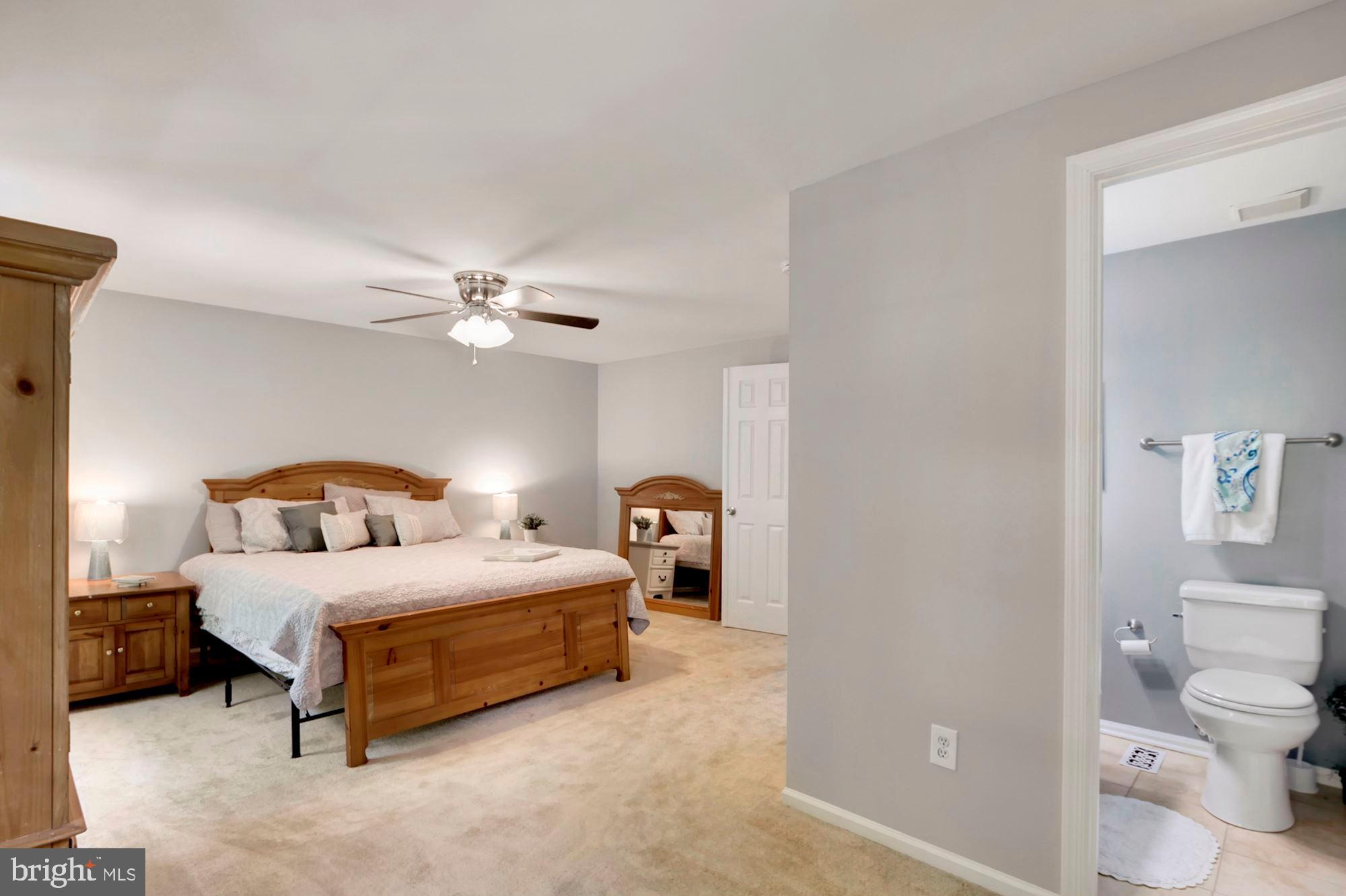 12903 Tourmaline Terrace Silver Spring, MD 20904 - Photo 33 of 41 Huge Master Bedroom with Bathroom