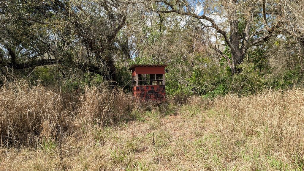 Gillette Road Zolfo Springs, FL 33890 - Photo 53 of 86 Gallery Image 53