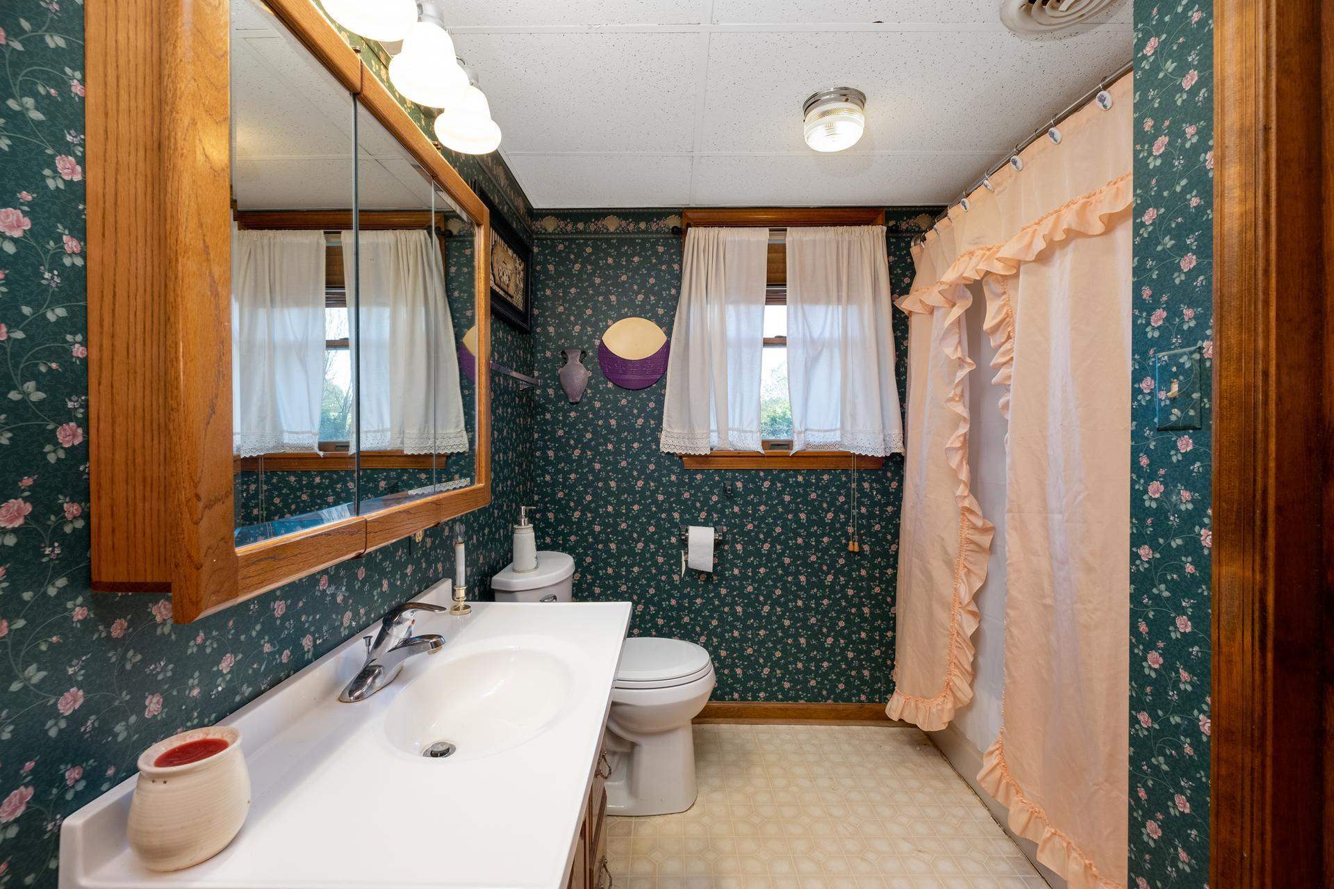 556 Buttermilk Spring Road Staunton, VA 24401 - Photo 38 of 67 a bathroom with a sink a toilet and shower