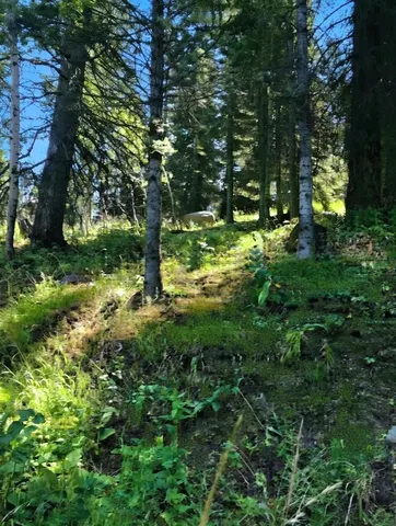 $265,000 | 1425 Majestic View Drive, Unit 82, McCall, ID 83638