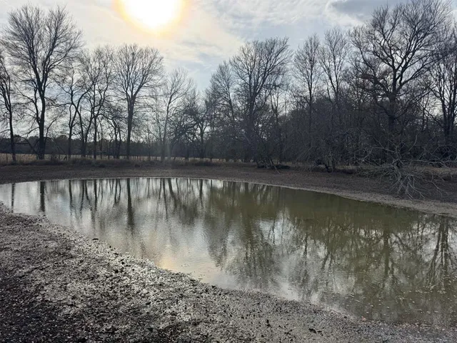 a view of a lake with trees in the background