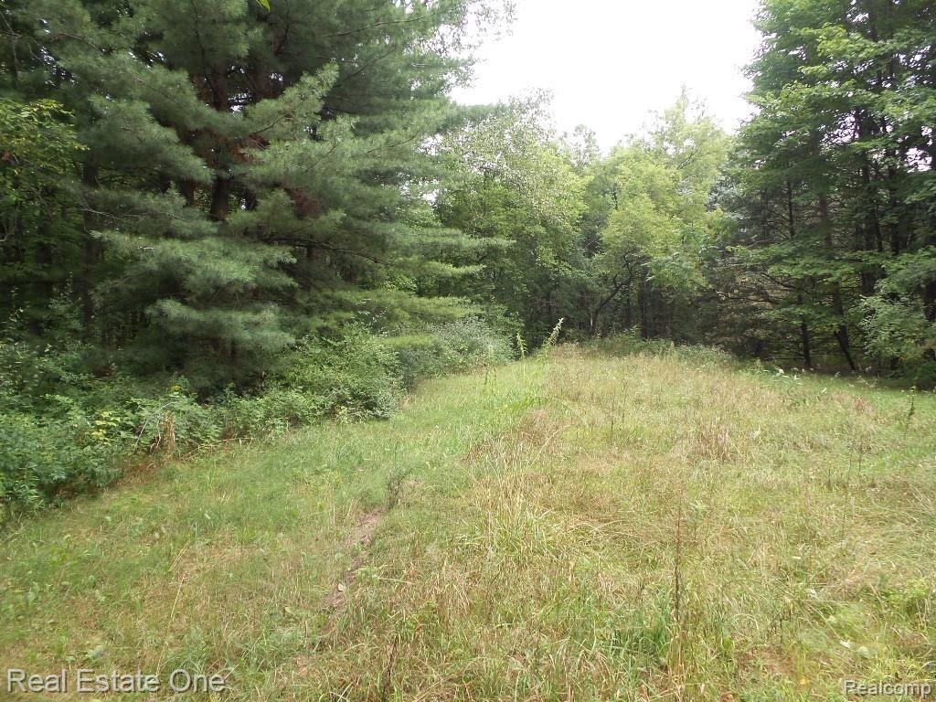 Vl Ortonville Road Clarkston, MI 48348 - Photo 3 of 9 Gallery Image 3