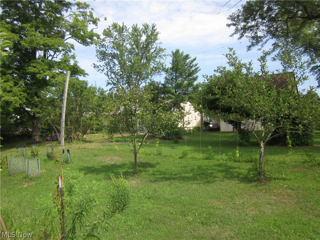 5416 Hayes Road Ravenna, OH 44266 - Photo 13 of 24 Gallery Image 13