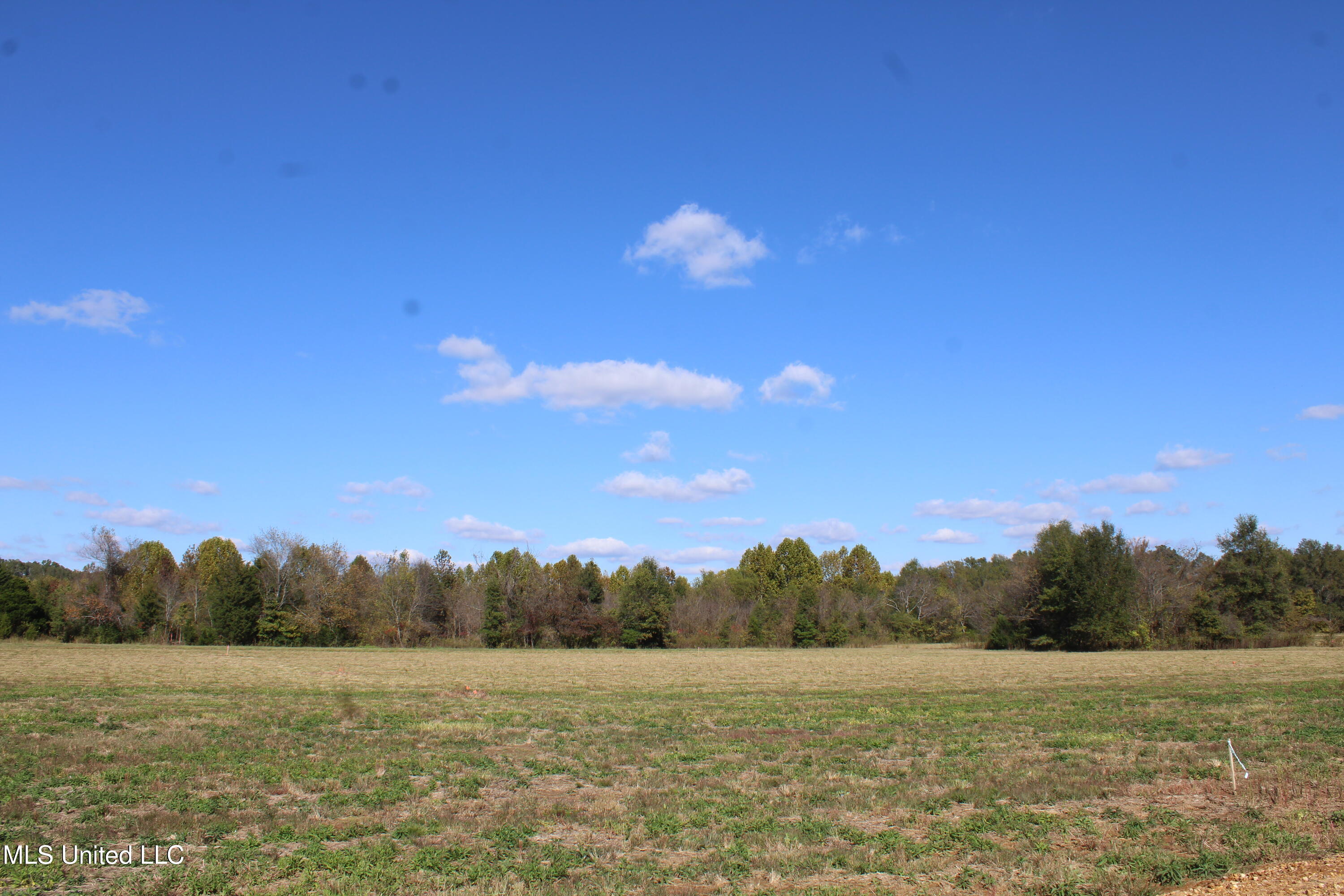 20 Pin Oak Road Michigan City, MS 38647 - Photo 21 of 22 IMG_6917