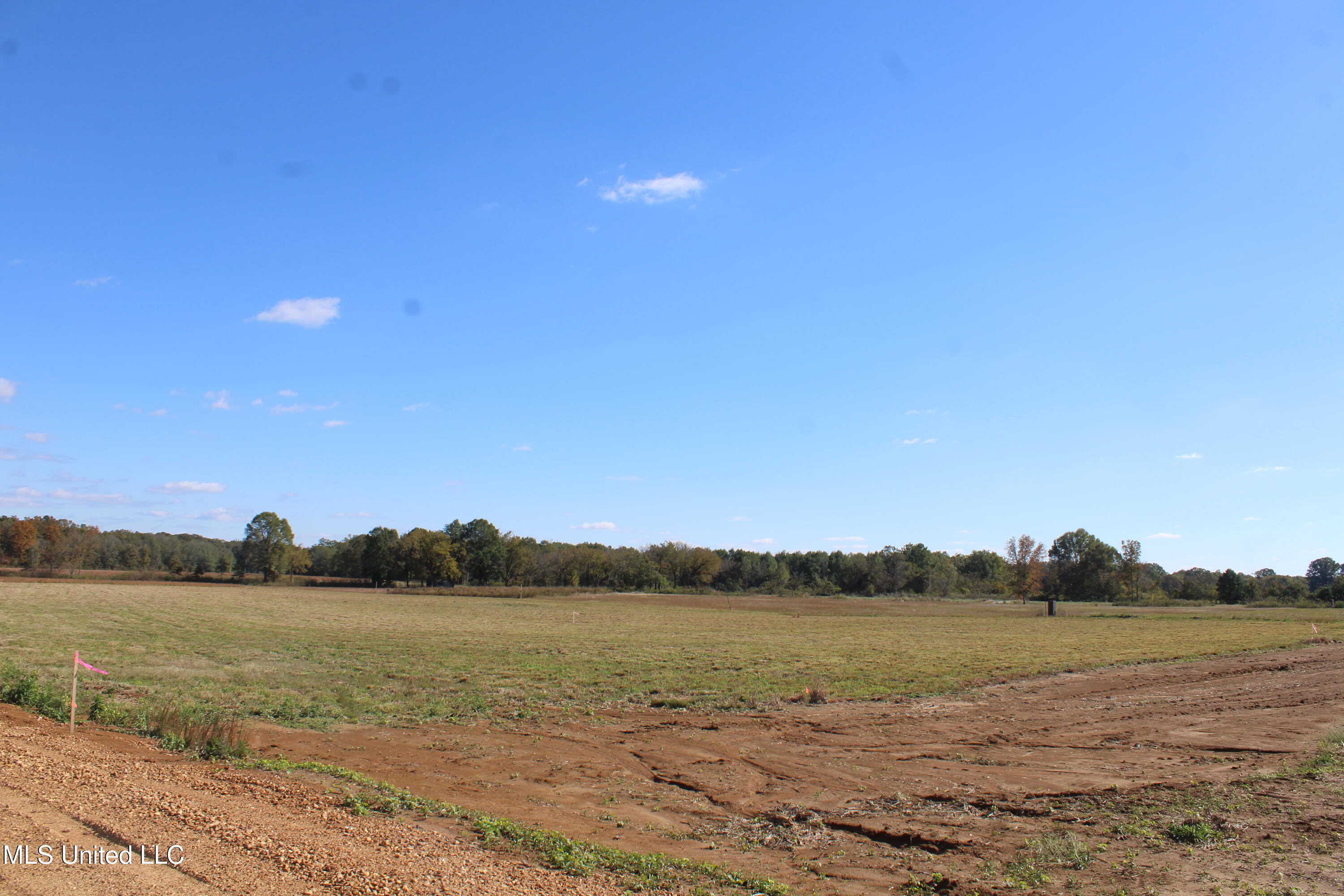 20 Pin Oak Road Michigan City, MS 38647 - Photo 9 of 22 IMG_6905