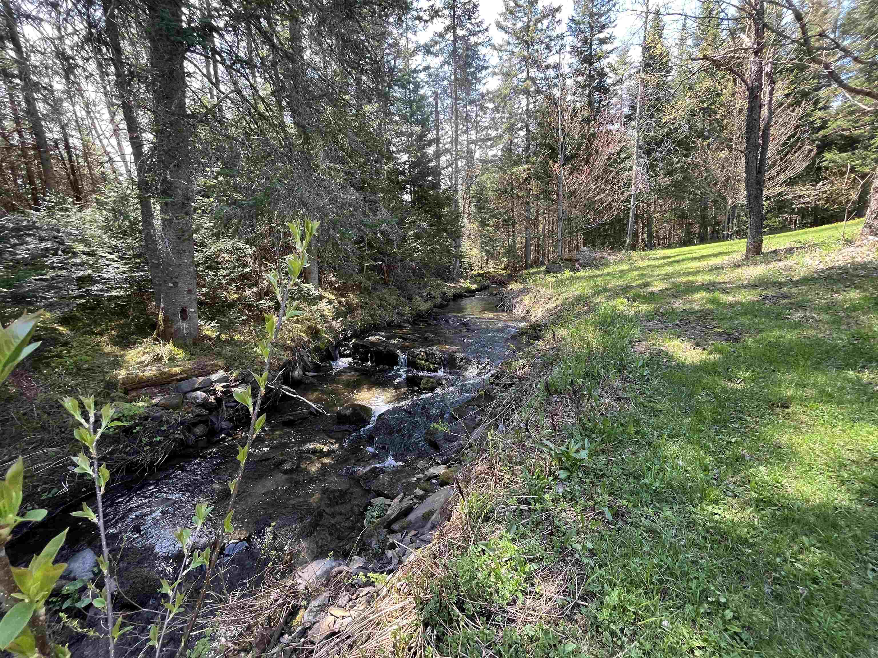 1039 Noyestar Road Walden, VT 05843 - Photo 17 of 59