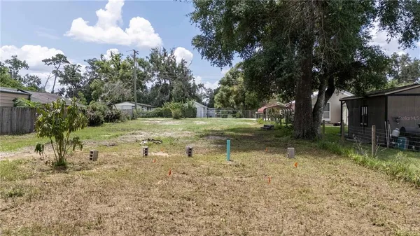 a view of a tree in a yard
