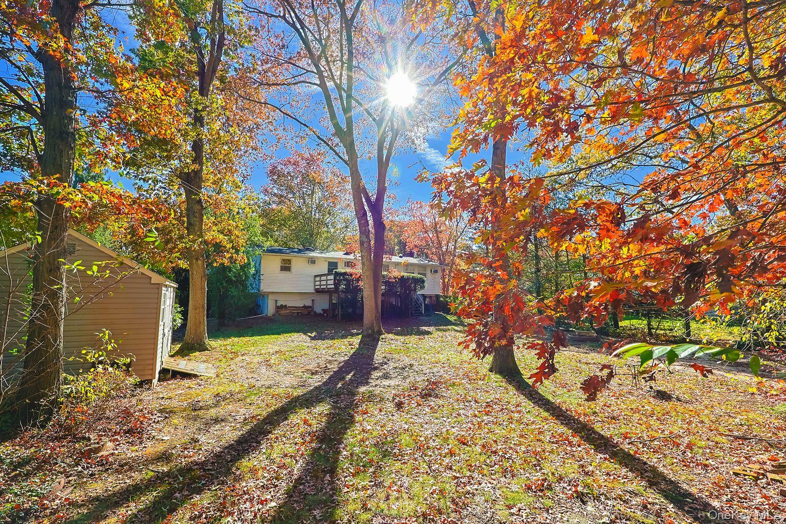 15 Mayflower Lane East Setauket, NY 11733 - Photo 18 of 23 a view of a yard with plants and trees