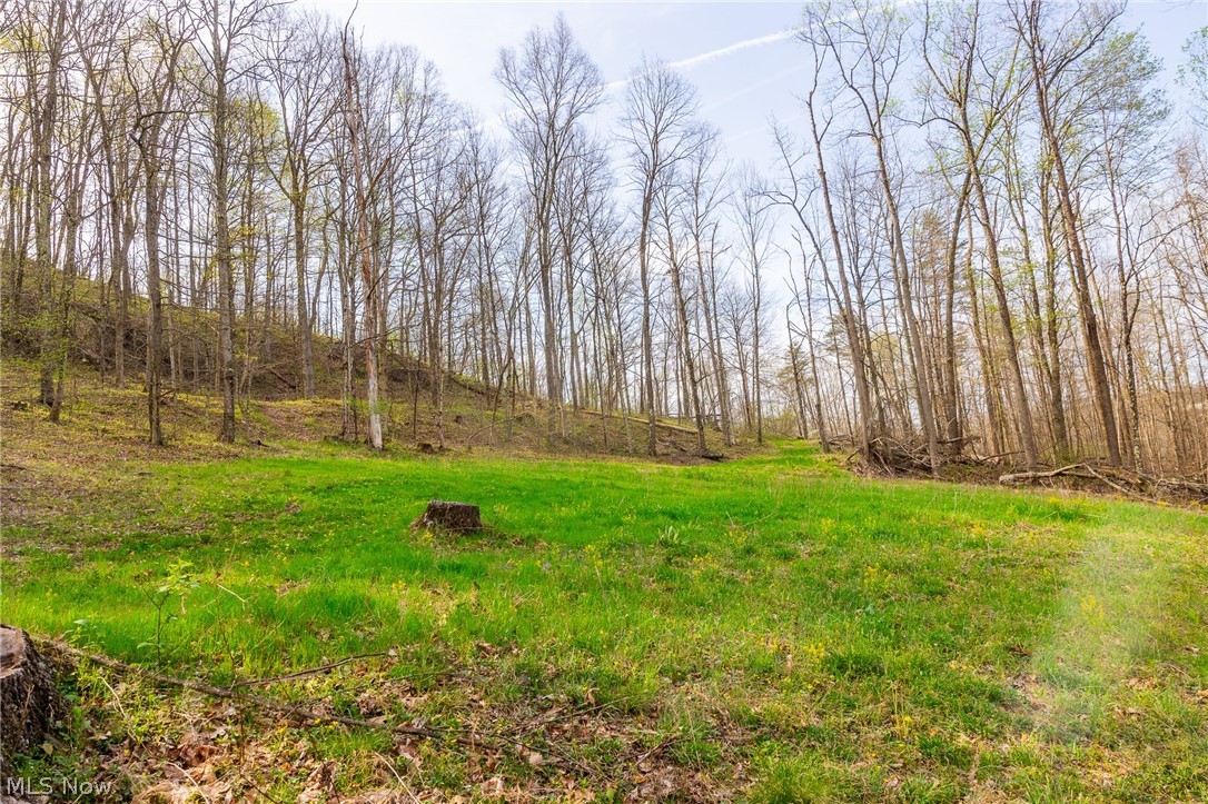 2115 Goss Fork Road, Unit 1 Whipple, OH 45788 - Photo 12 of 38