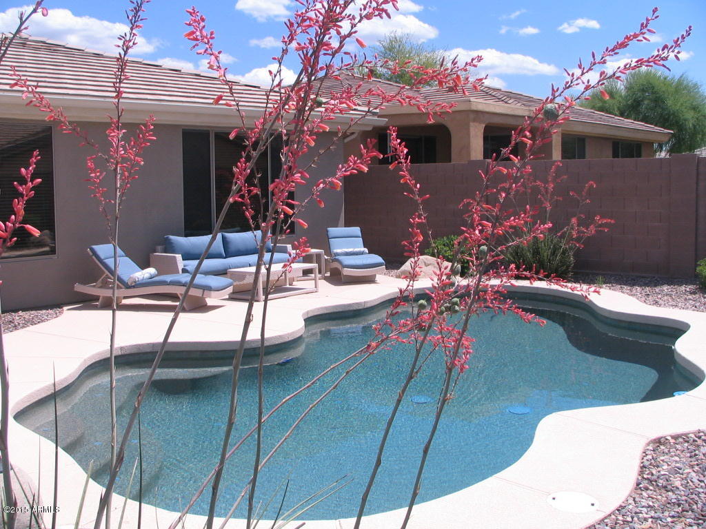 41549 North Clear Crossing Road Anthem, AZ 85086 - Photo 17 of 40 Relax!
