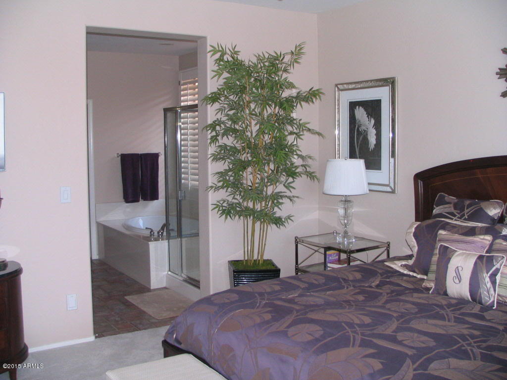 41549 North Clear Crossing Road Anthem, AZ 85086 - Photo 21 of 40 Master and Bath