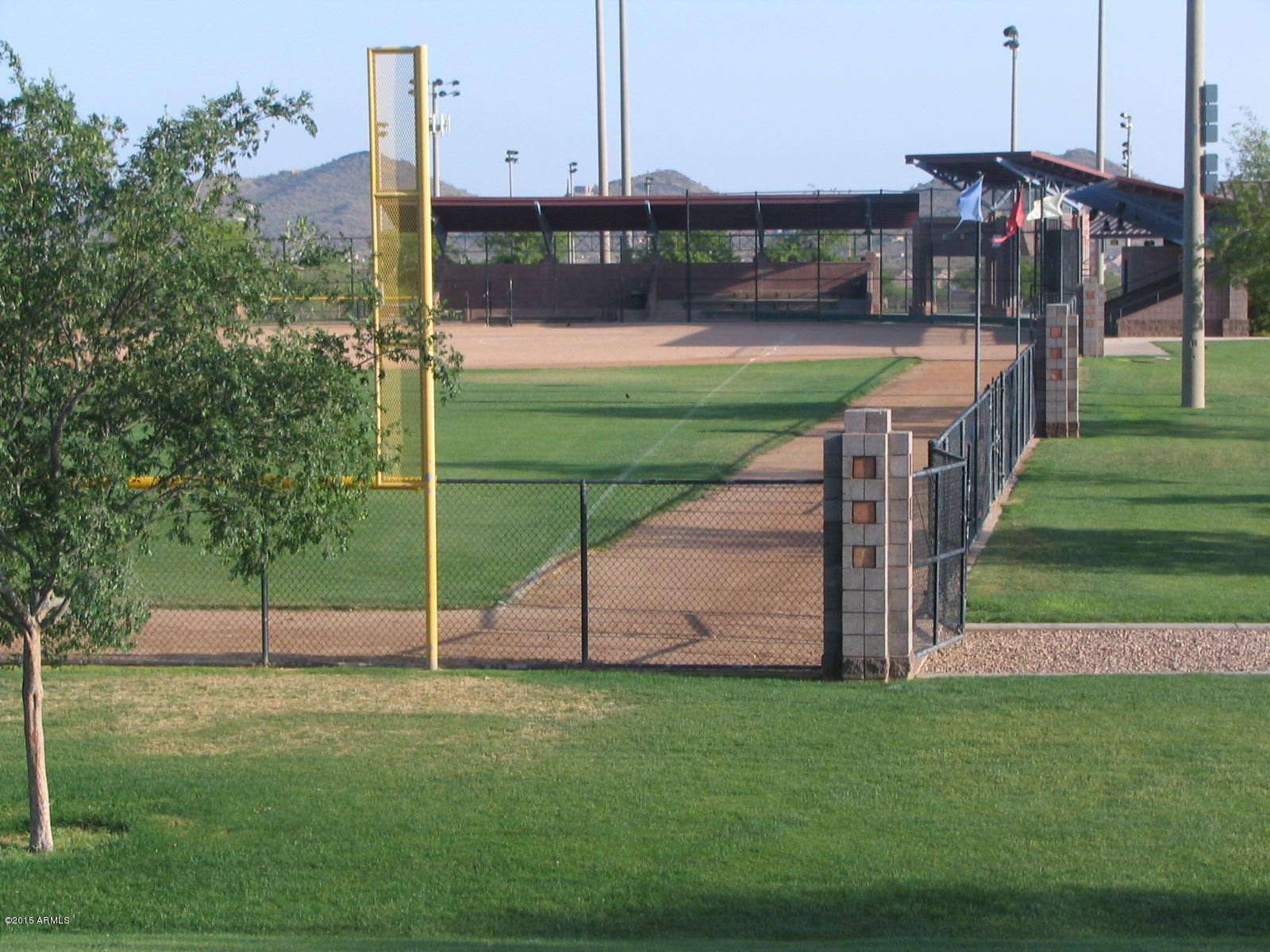 41549 North Clear Crossing Road Anthem, AZ 85086 - Photo 35 of 40 Ball park