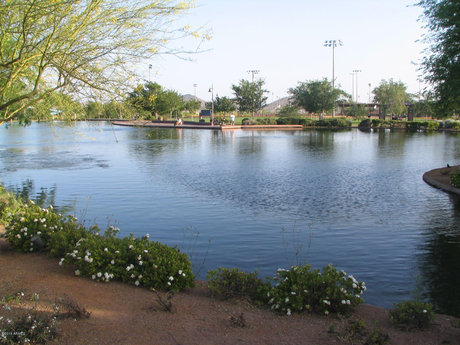 41549 North Clear Crossing Road Anthem, AZ 85086 - Photo 36 of 40 Catch and release
