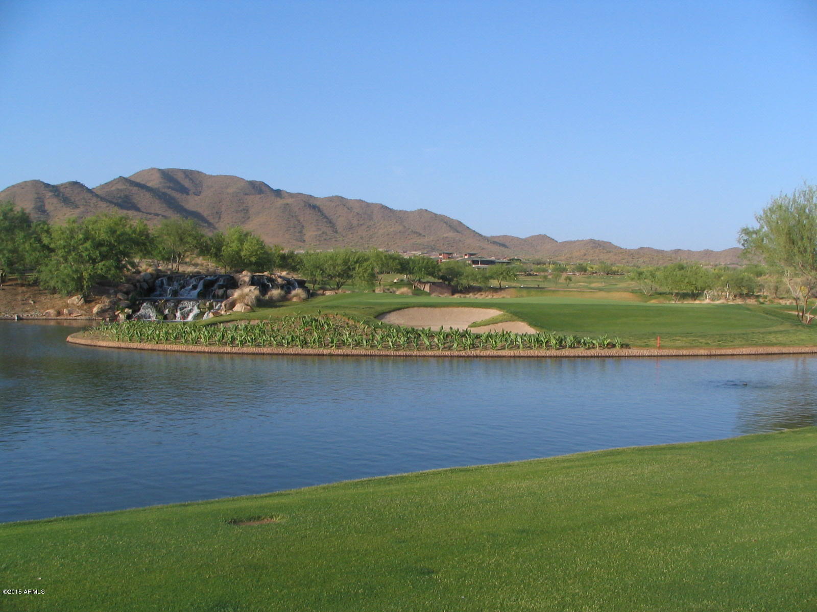 41549 North Clear Crossing Road Anthem, AZ 85086 - Photo 38 of 40 Pond and Daisy