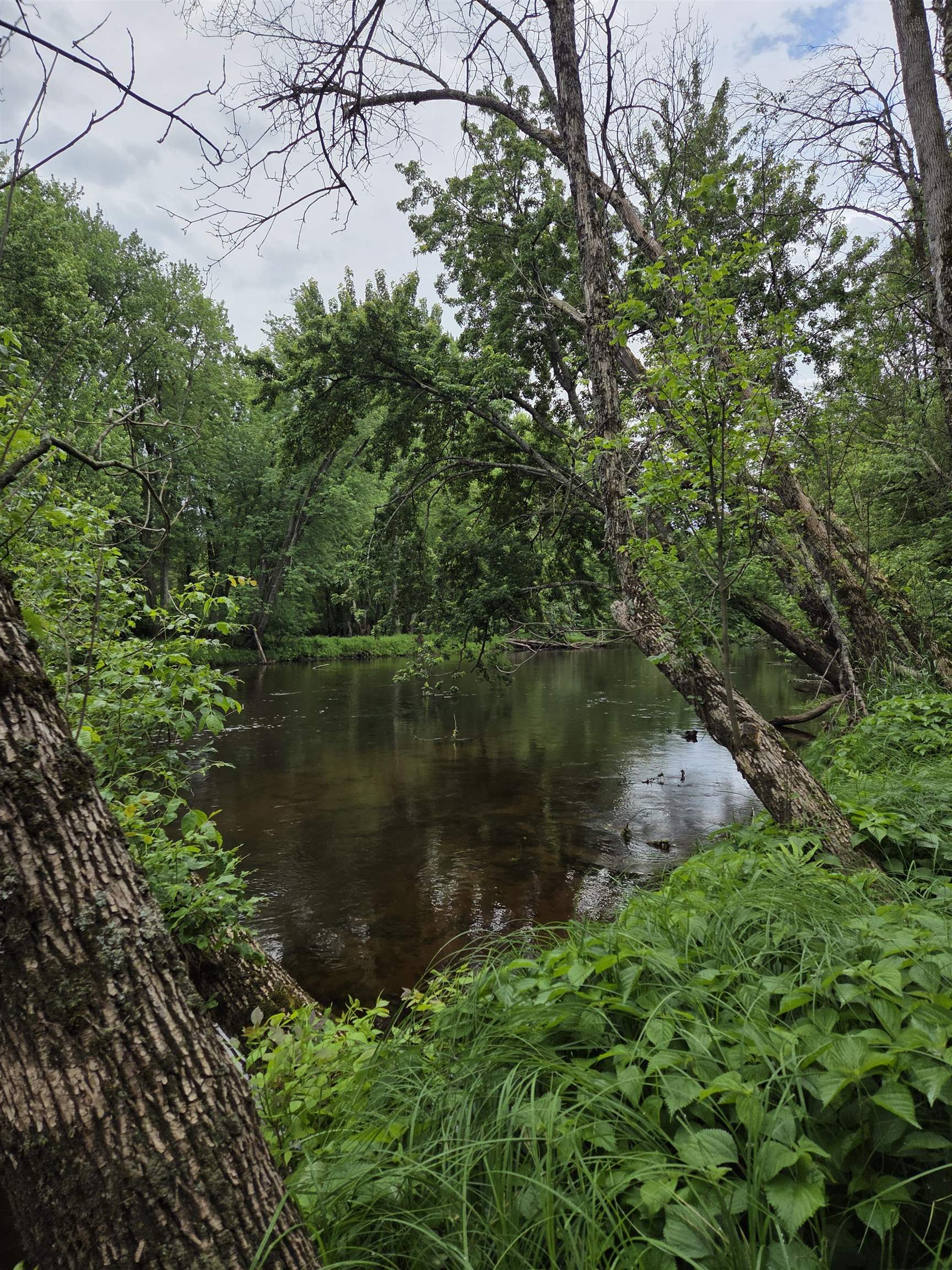 N13300 Pike River Road Wausaukee, WI 54177 - Photo 28 of 39
