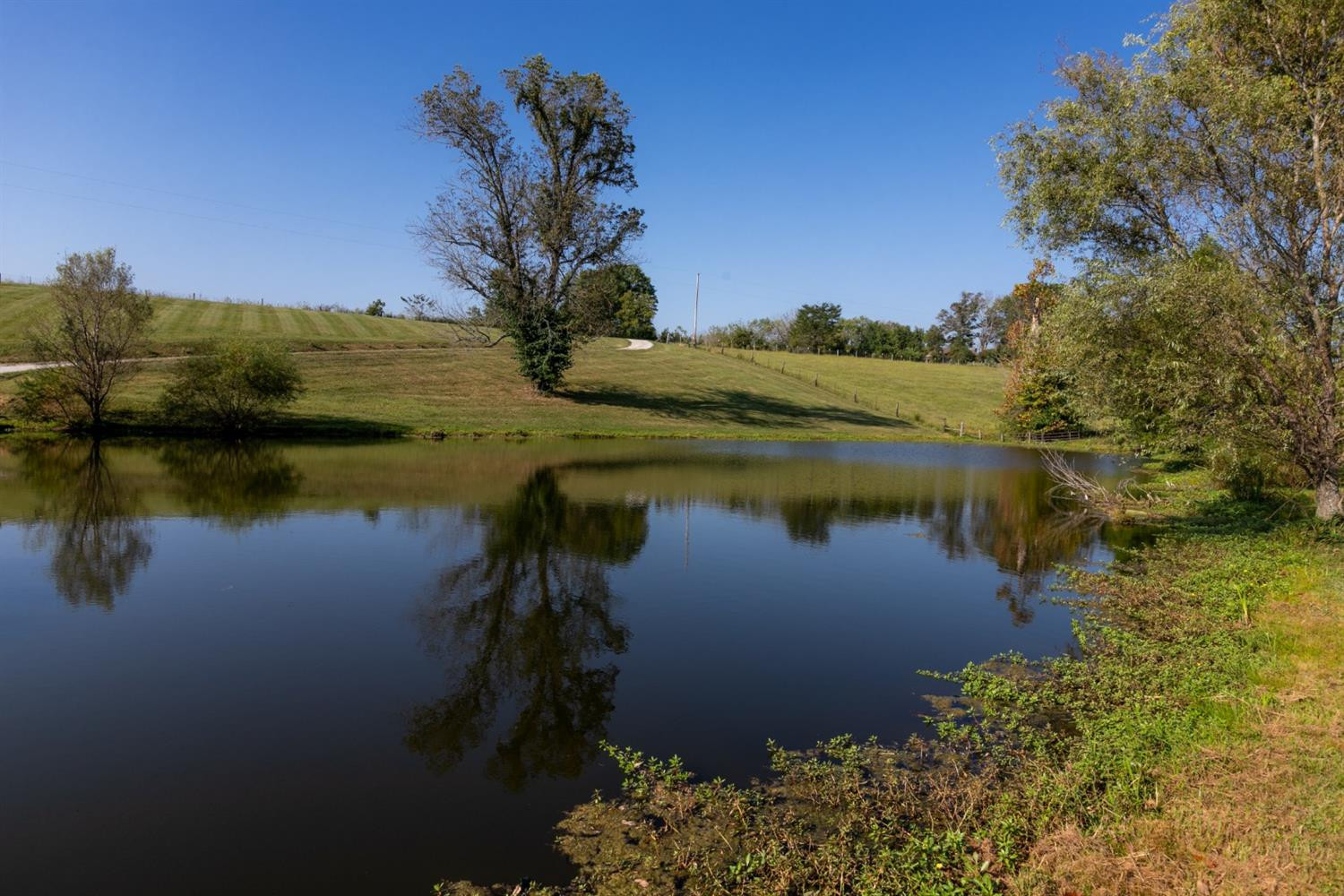 3556 Schollsville Road Winchester, KY 40391 - Photo 57 of 66 Listing Photo