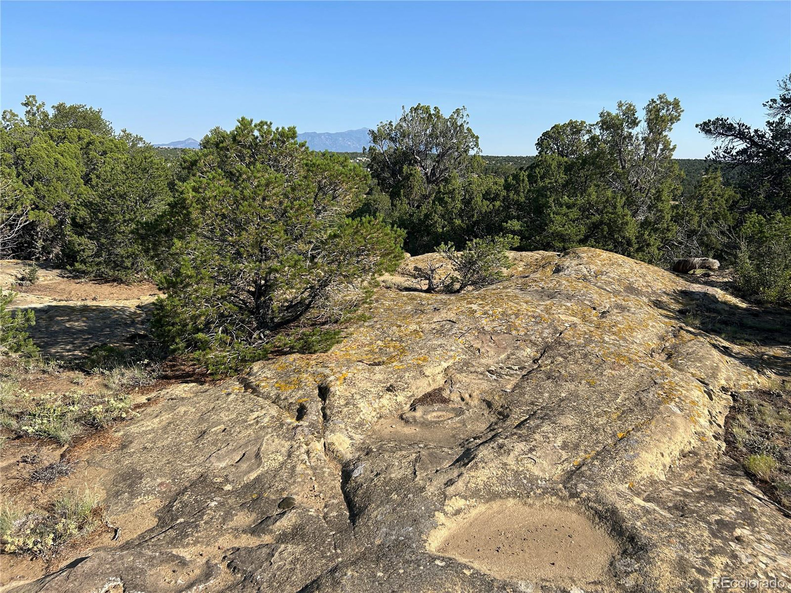 905 Rio Cucharas Phs 3 Walsenburg, CO 81089 - Photo 12 of 14 a view of a yard of a house