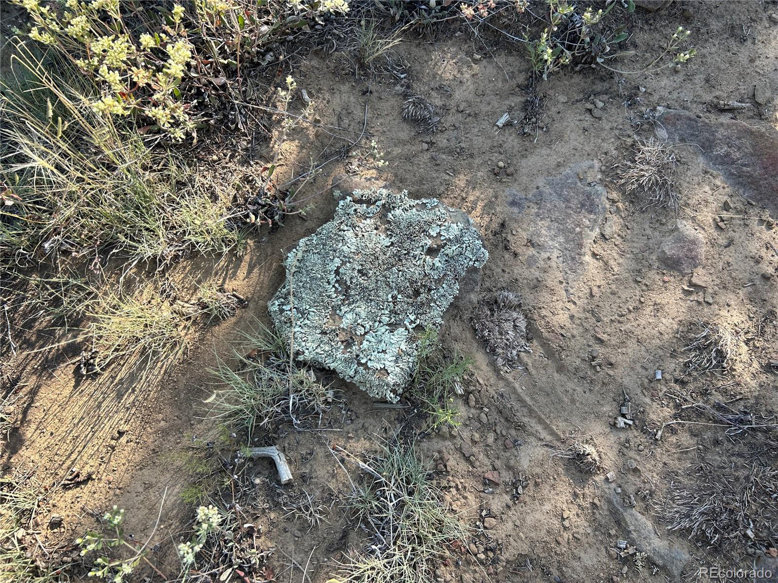 905 Rio Cucharas Phs 3 Walsenburg, CO 81089 - Photo 2 of 14 a view of a dry yard with lots of bushes
