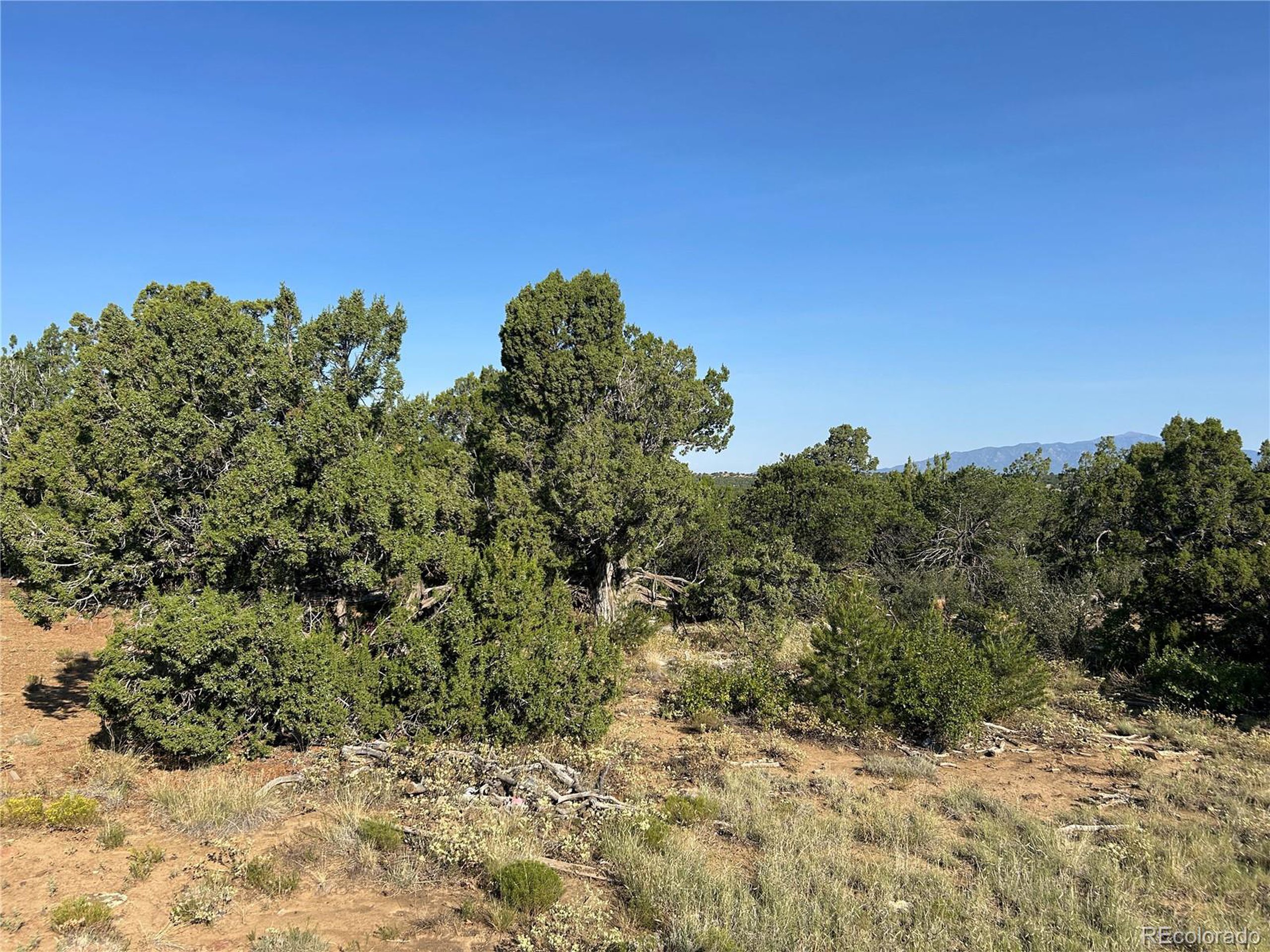 905 Rio Cucharas Phs 3 Walsenburg, CO 81089 - Photo 3 of 14 a view of a large tree with a yard