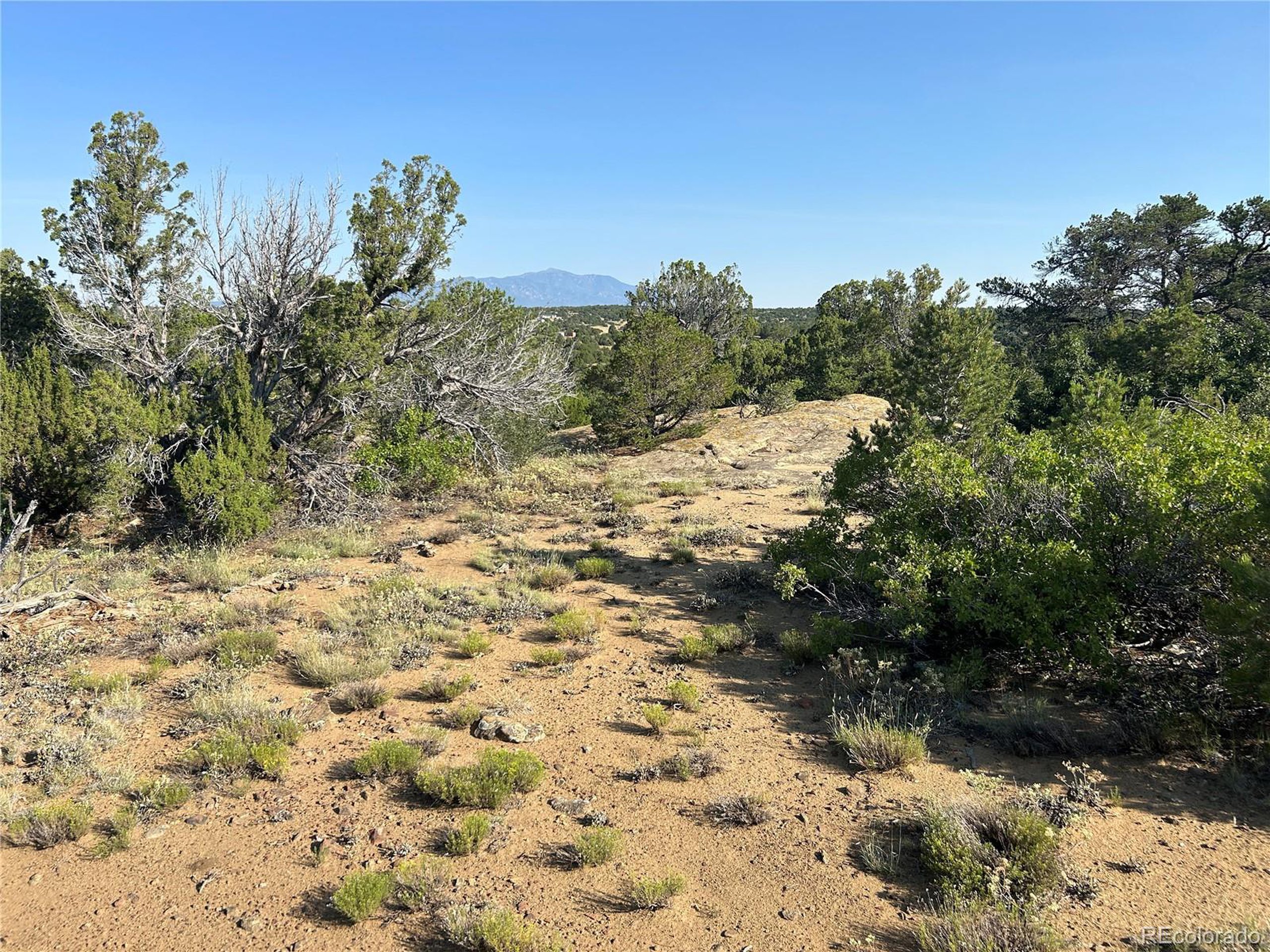 905 Rio Cucharas Phs 3 Walsenburg, CO 81089 - Photo 4 of 14 a view of a yard with a tree