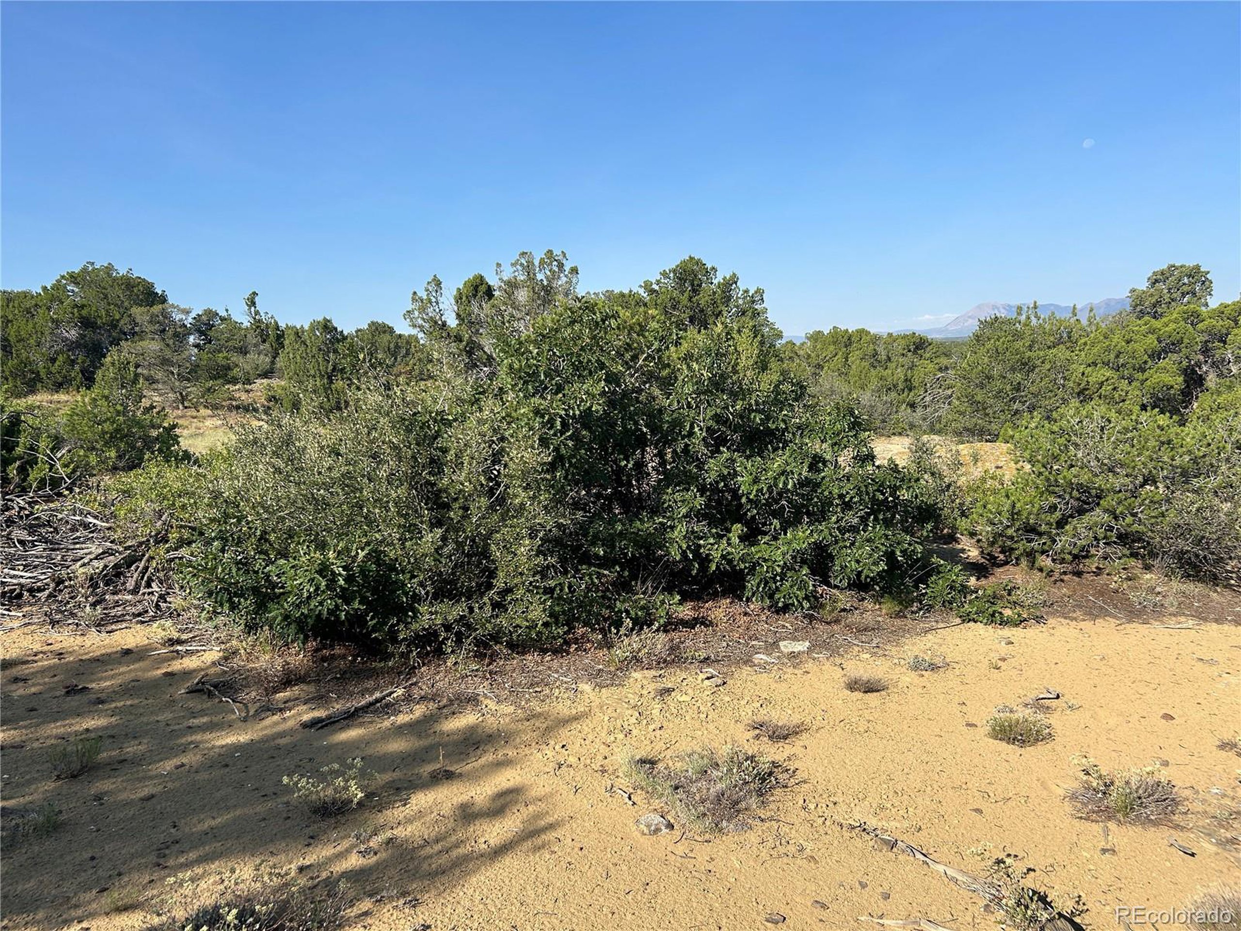 905 Rio Cucharas Phs 3 Walsenburg, CO 81089 - Photo 5 of 14 a view of a snow on a beach